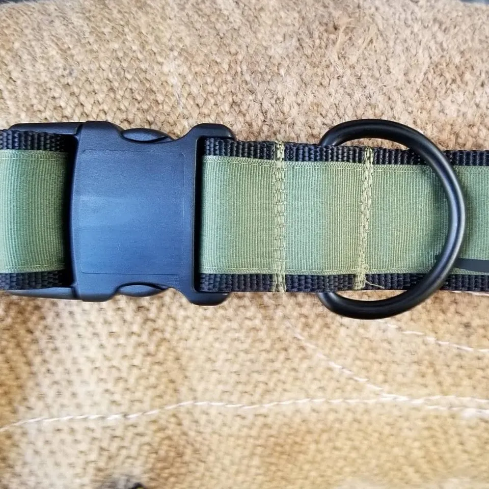 2" wide "INFIDEL" Dog Collar