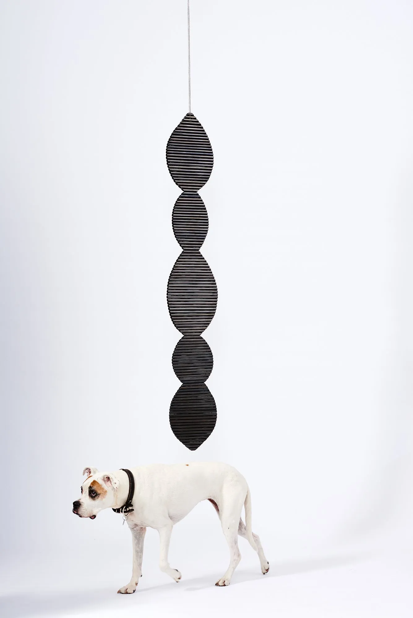 Bean Pod I, 2016