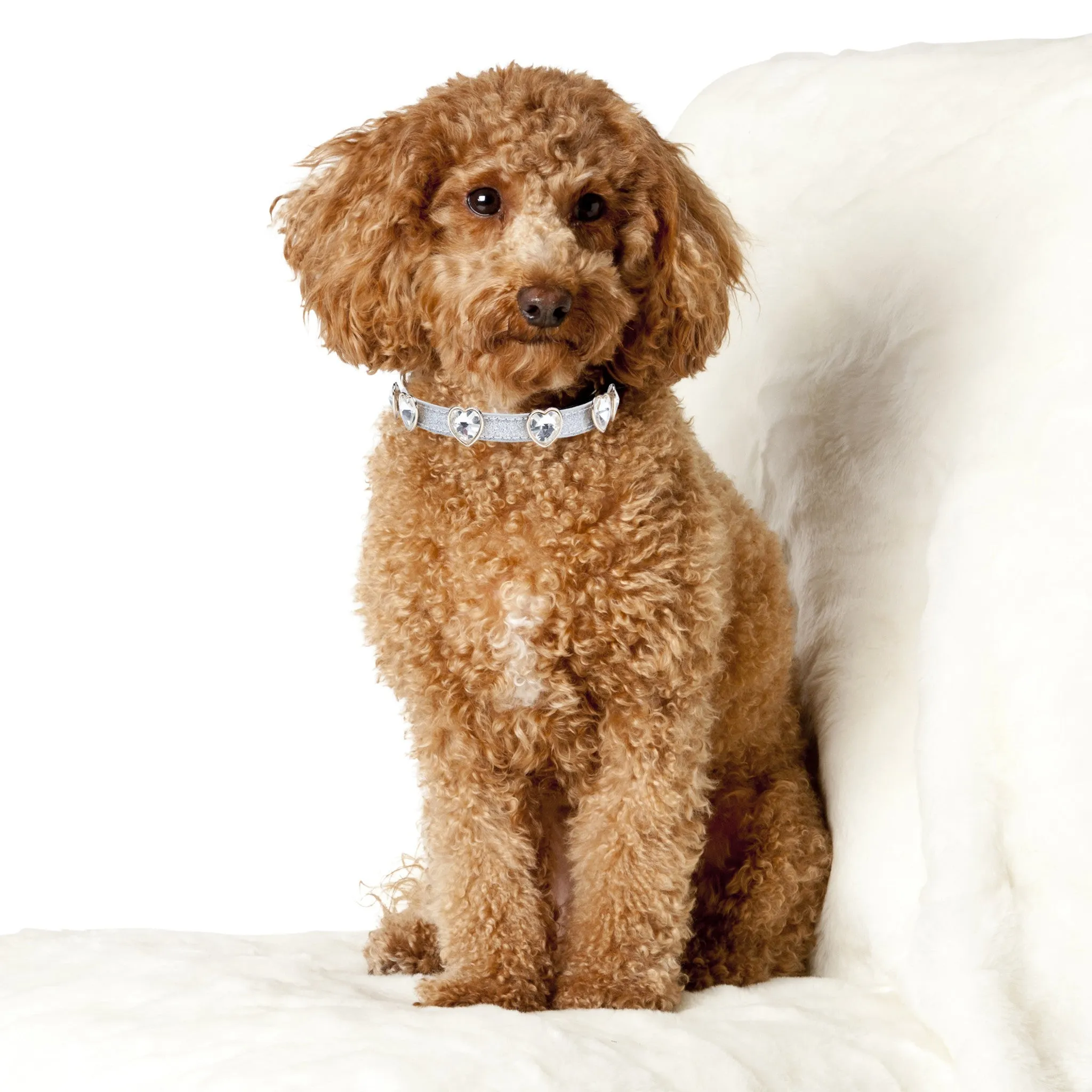 Bling Dog Collar - Heart