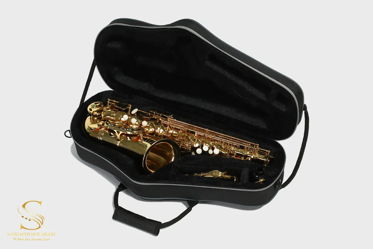 BROPRO Alto saxophone case Traditional Style - F700CT