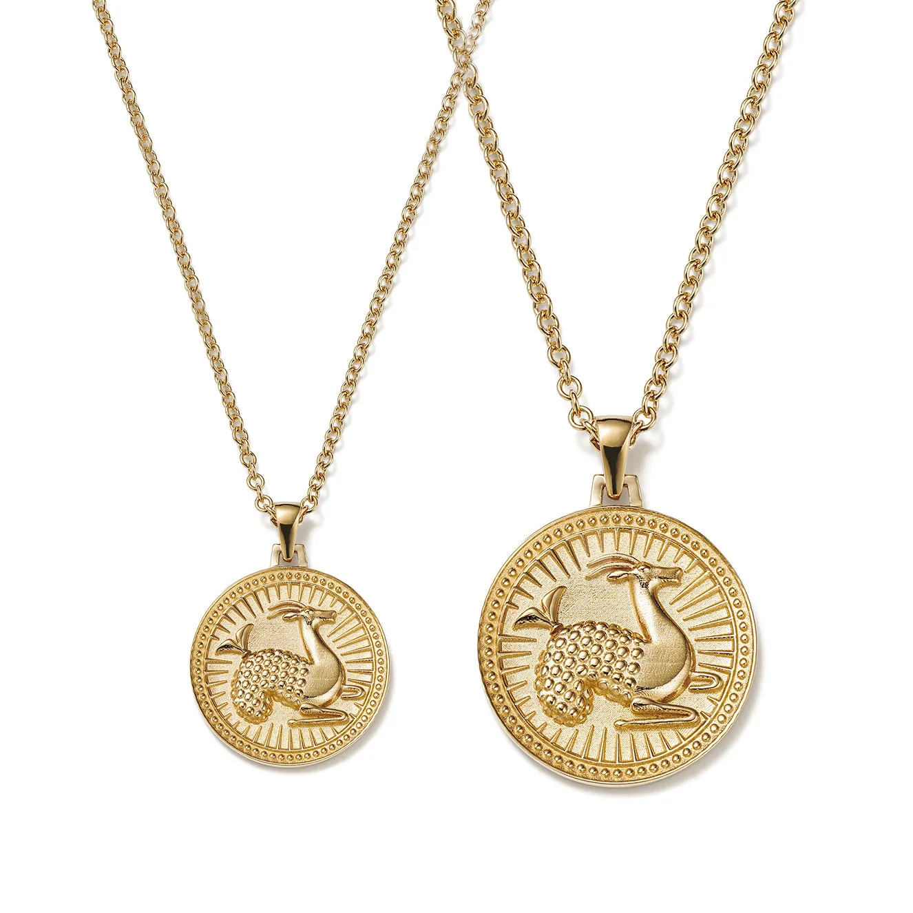Capricorn Zodiac Pendant Necklace