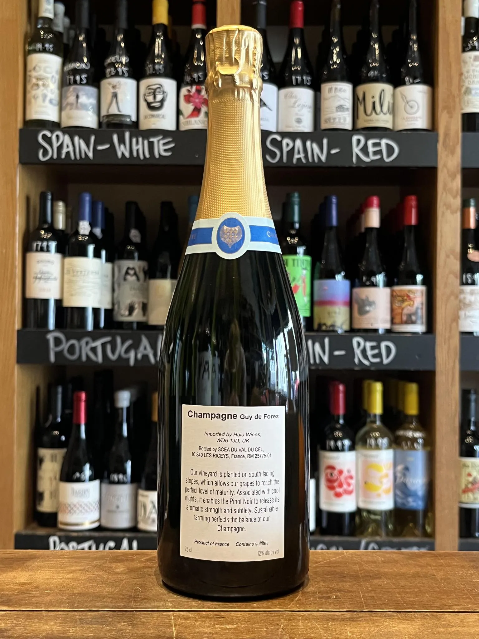 Champagne Guy de Forez - Brut Tradition