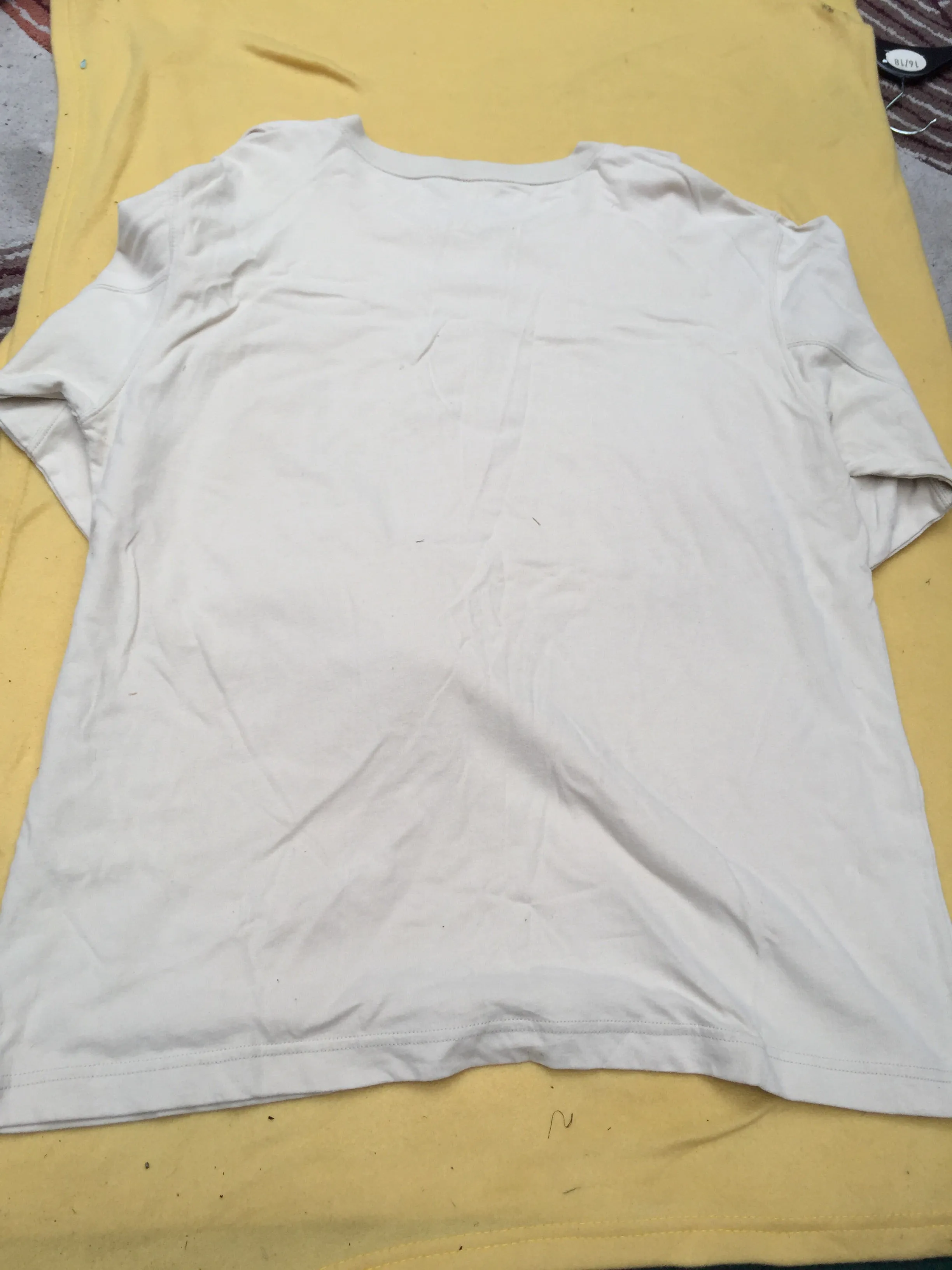 Cream Ariat T-Shirt size: large (FREE POSTAGE)
