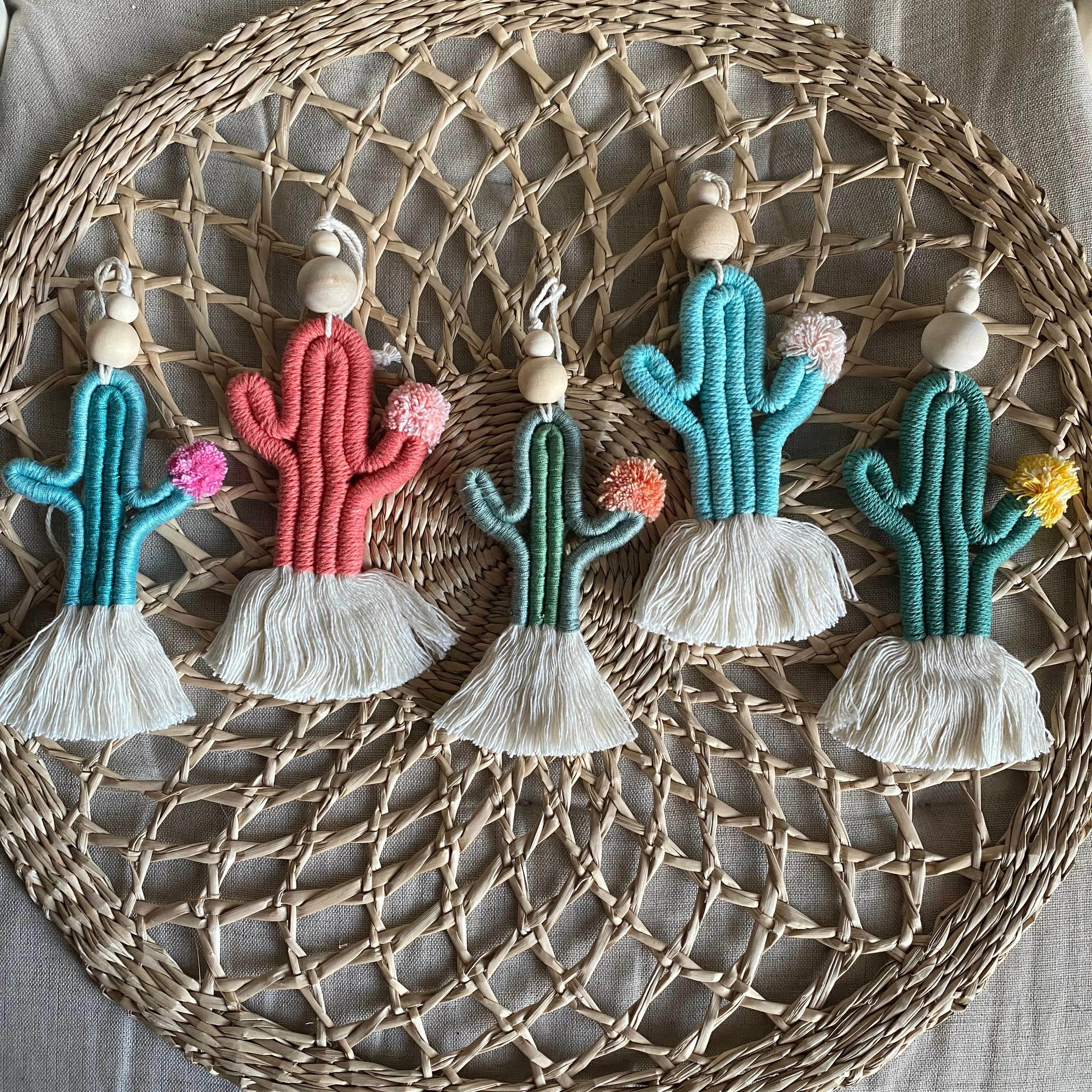 Cute CACTI Aerial Diffuser