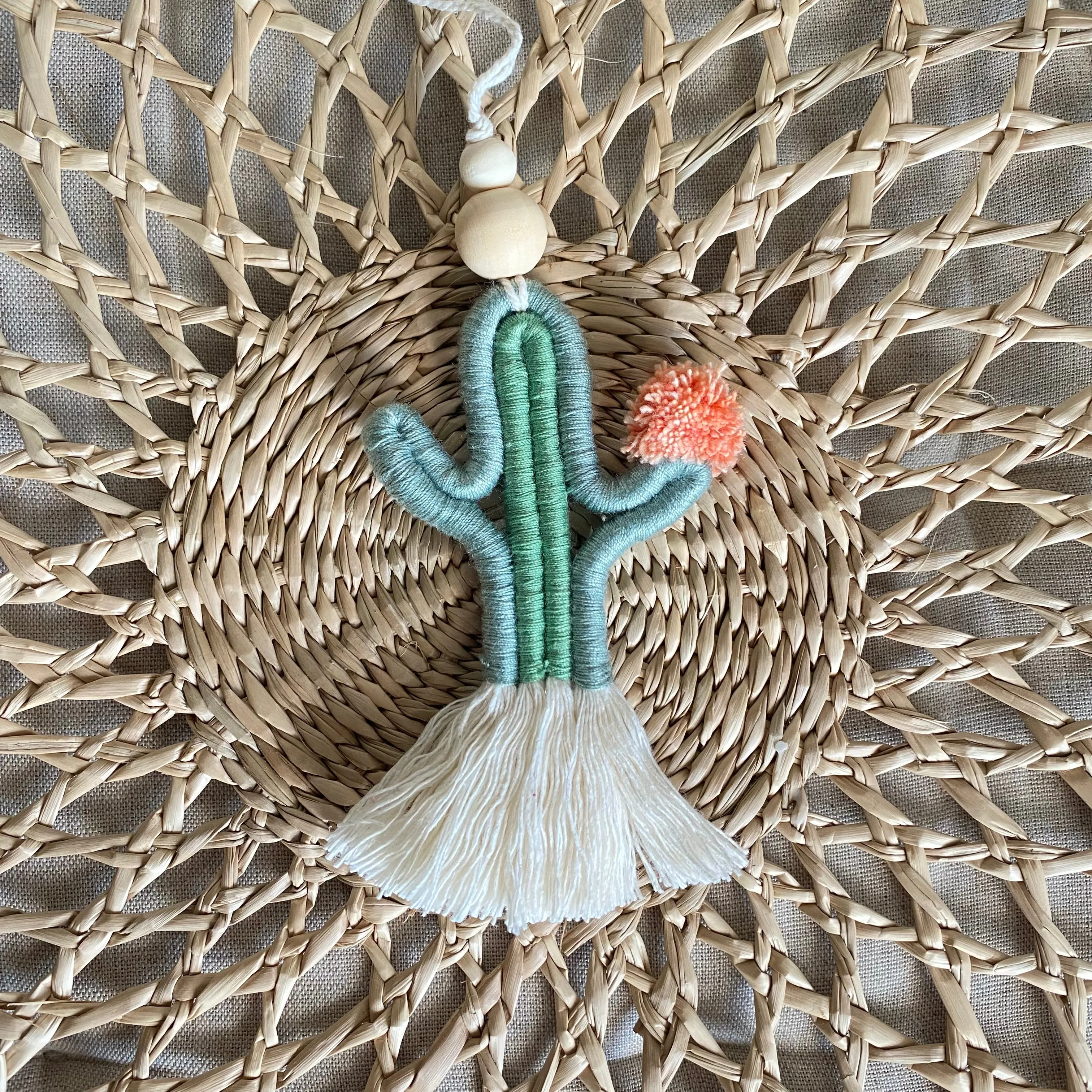 Cute CACTI Aerial Diffuser