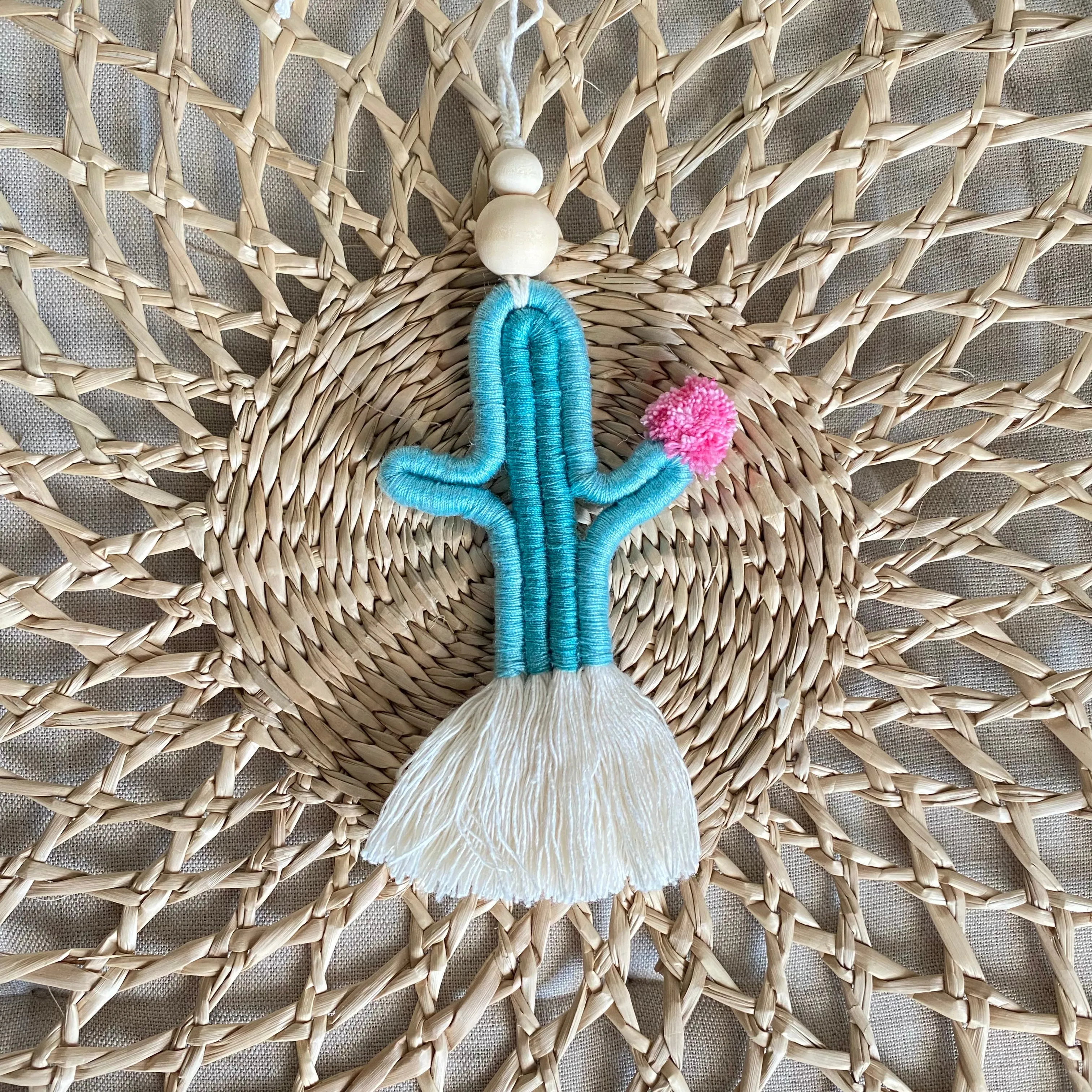 Cute CACTI Aerial Diffuser