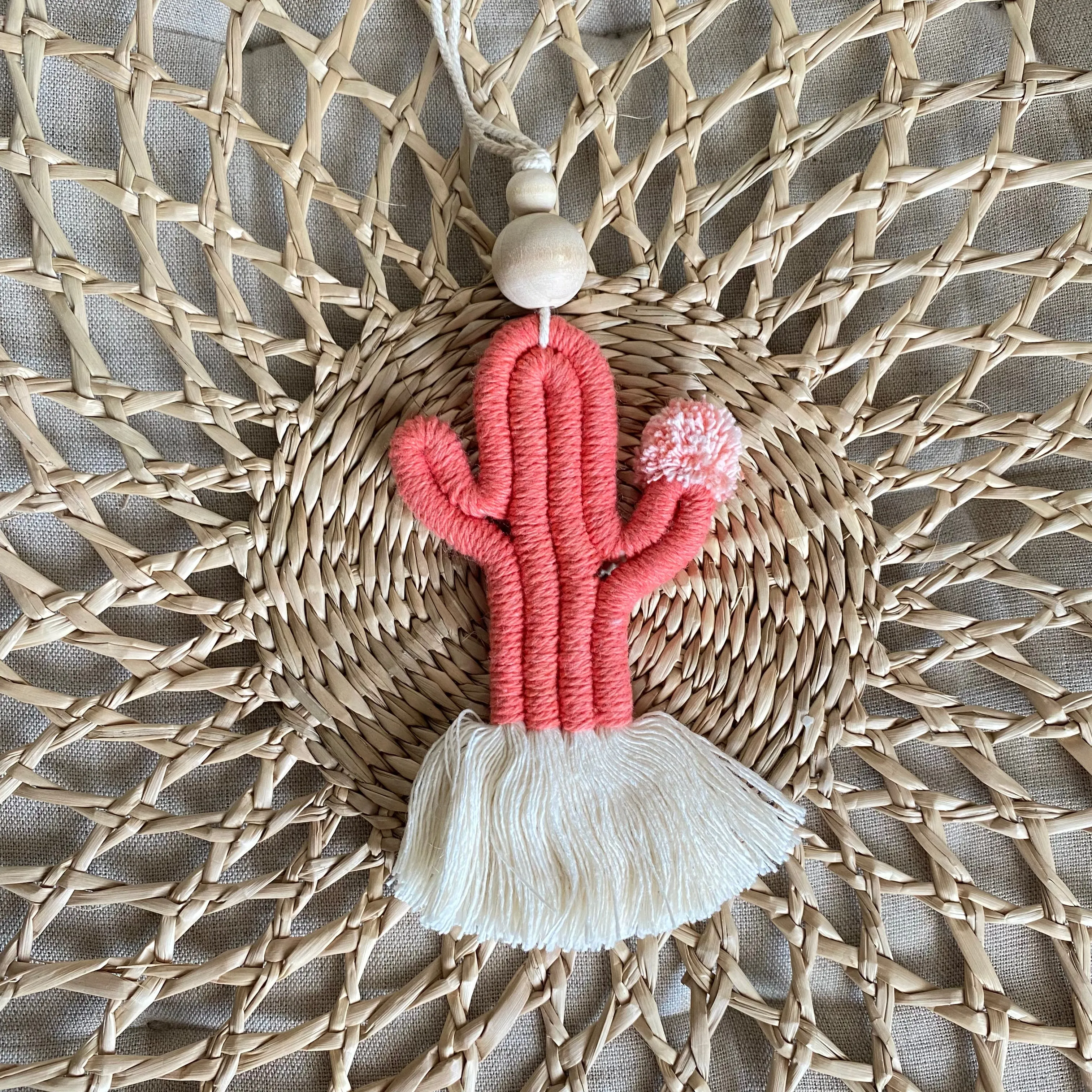 Cute CACTI Aerial Diffuser