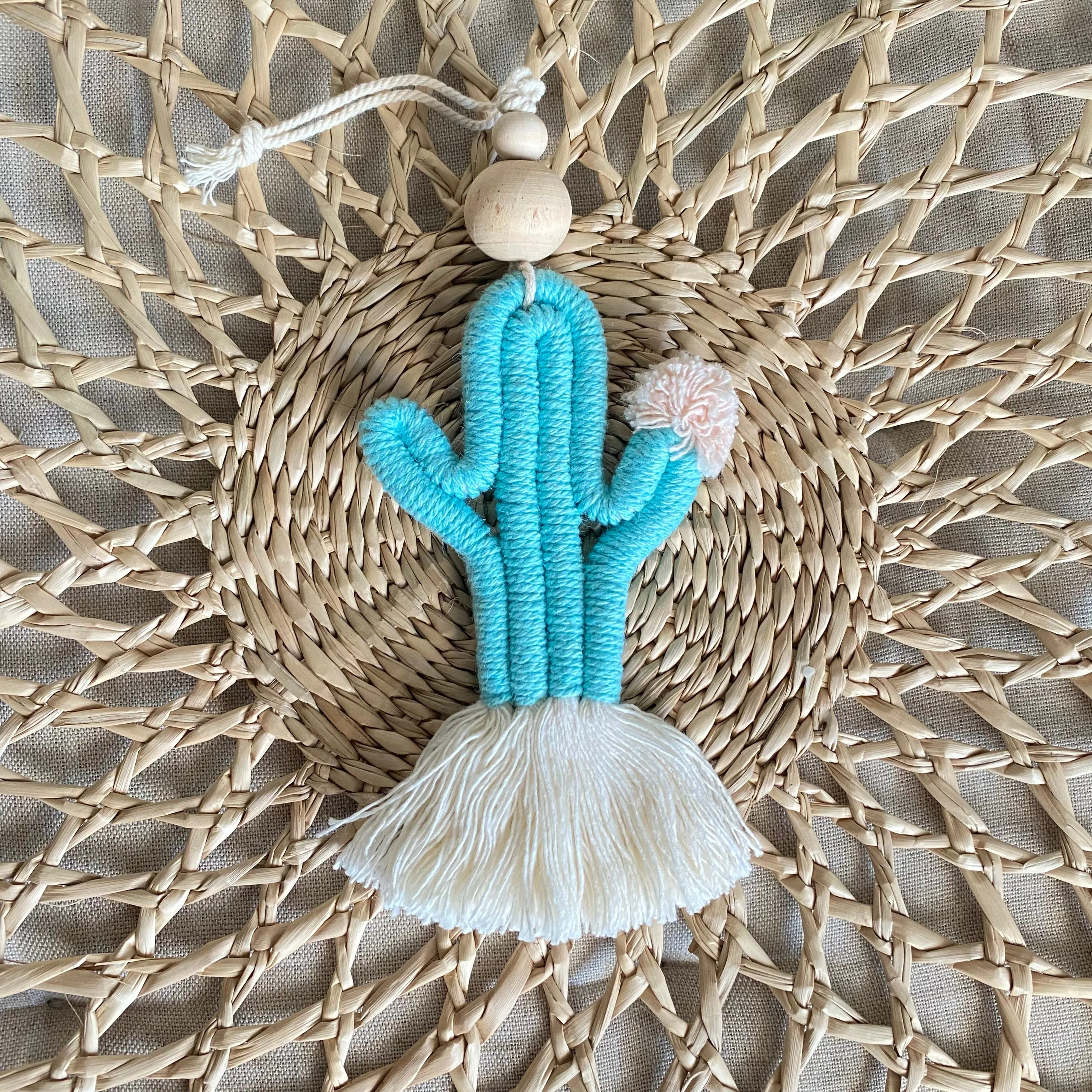 Cute CACTI Aerial Diffuser