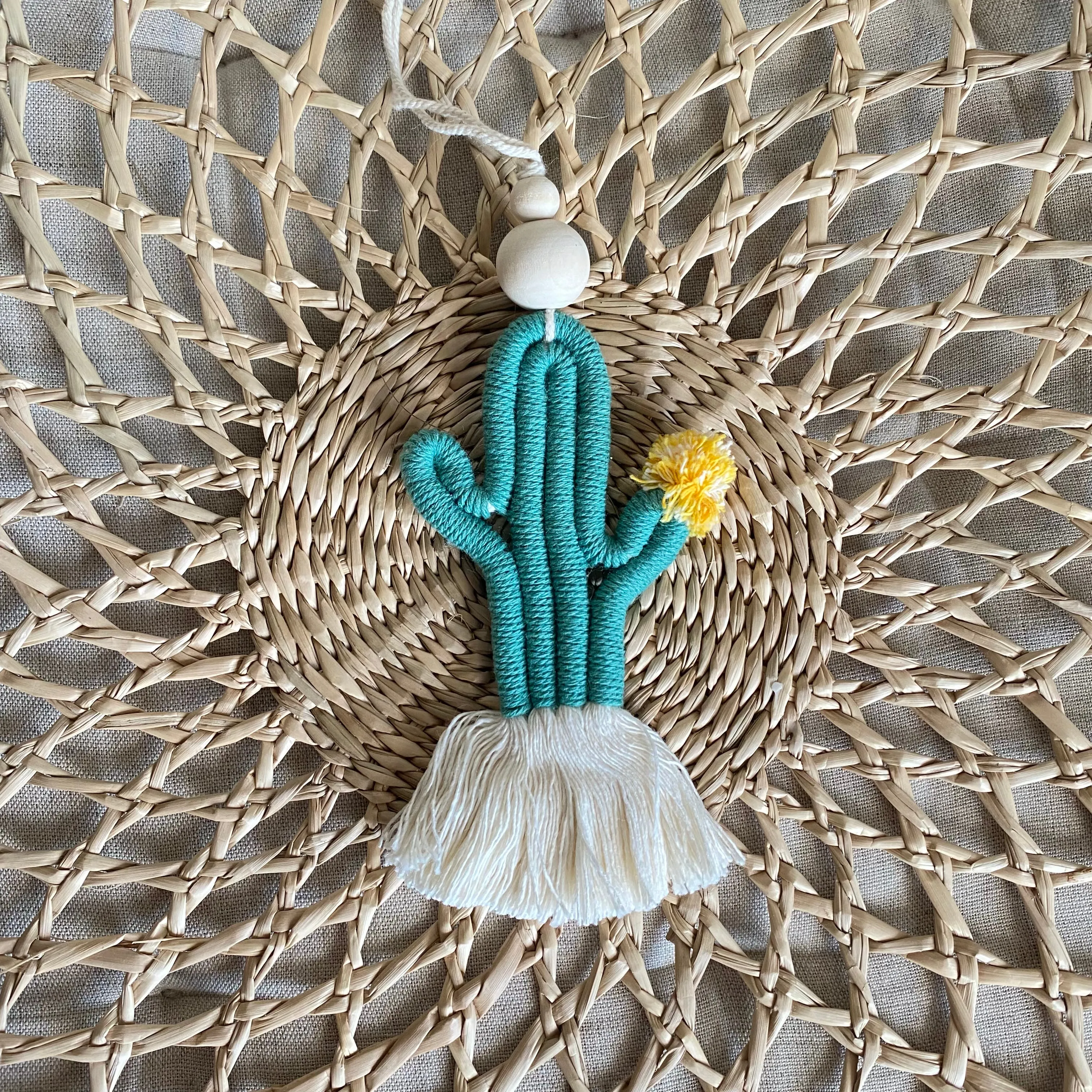 Cute CACTI Aerial Diffuser