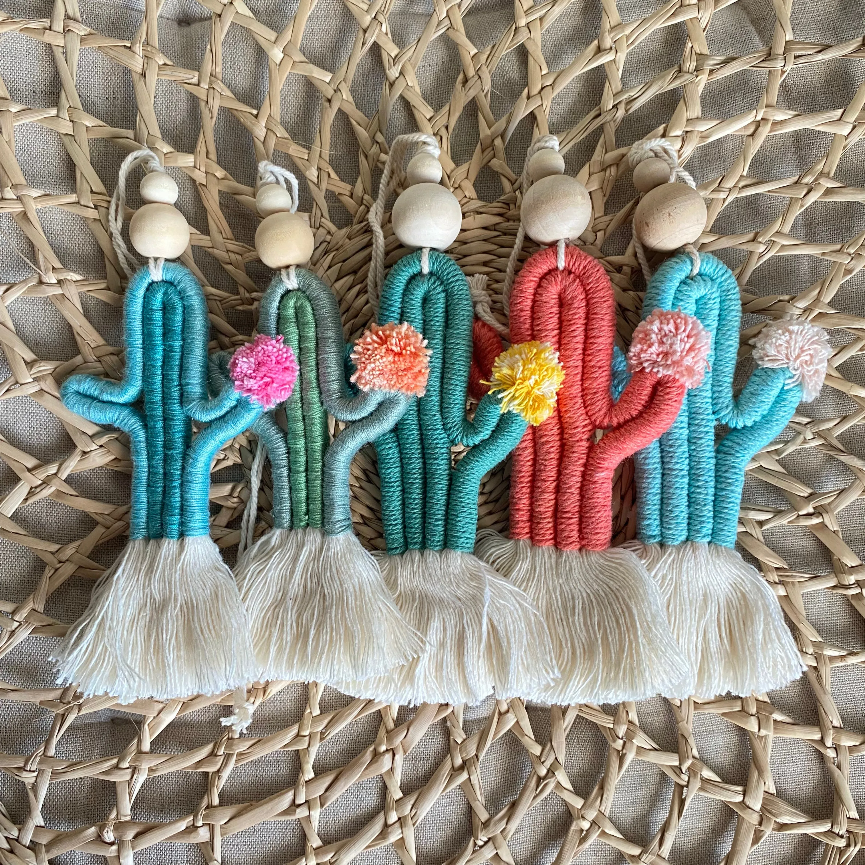 Cute CACTI Aerial Diffuser