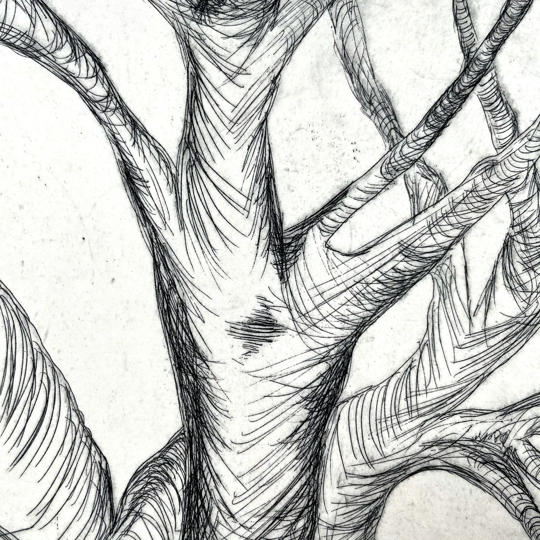 Etching Tree