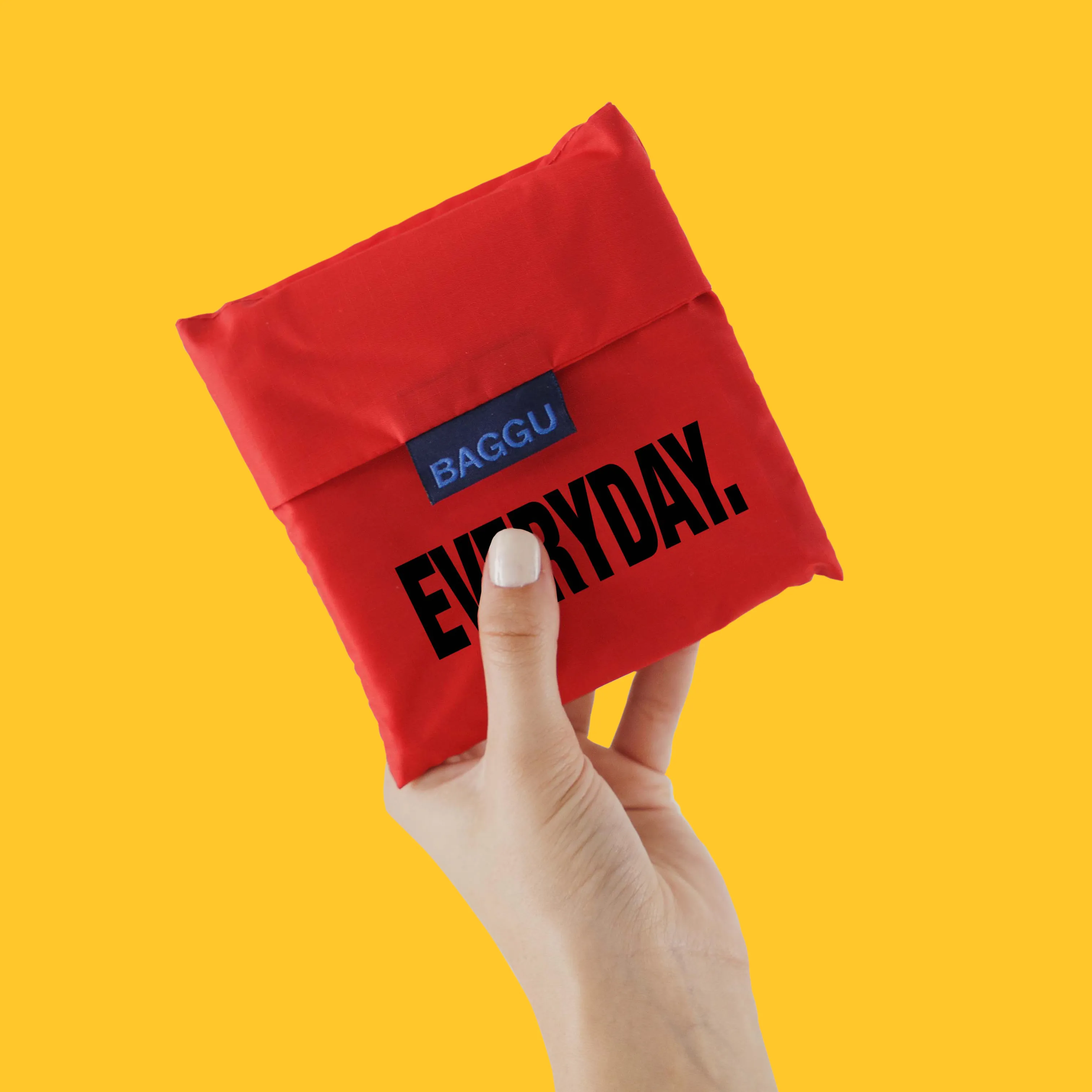 Everyday Baggu