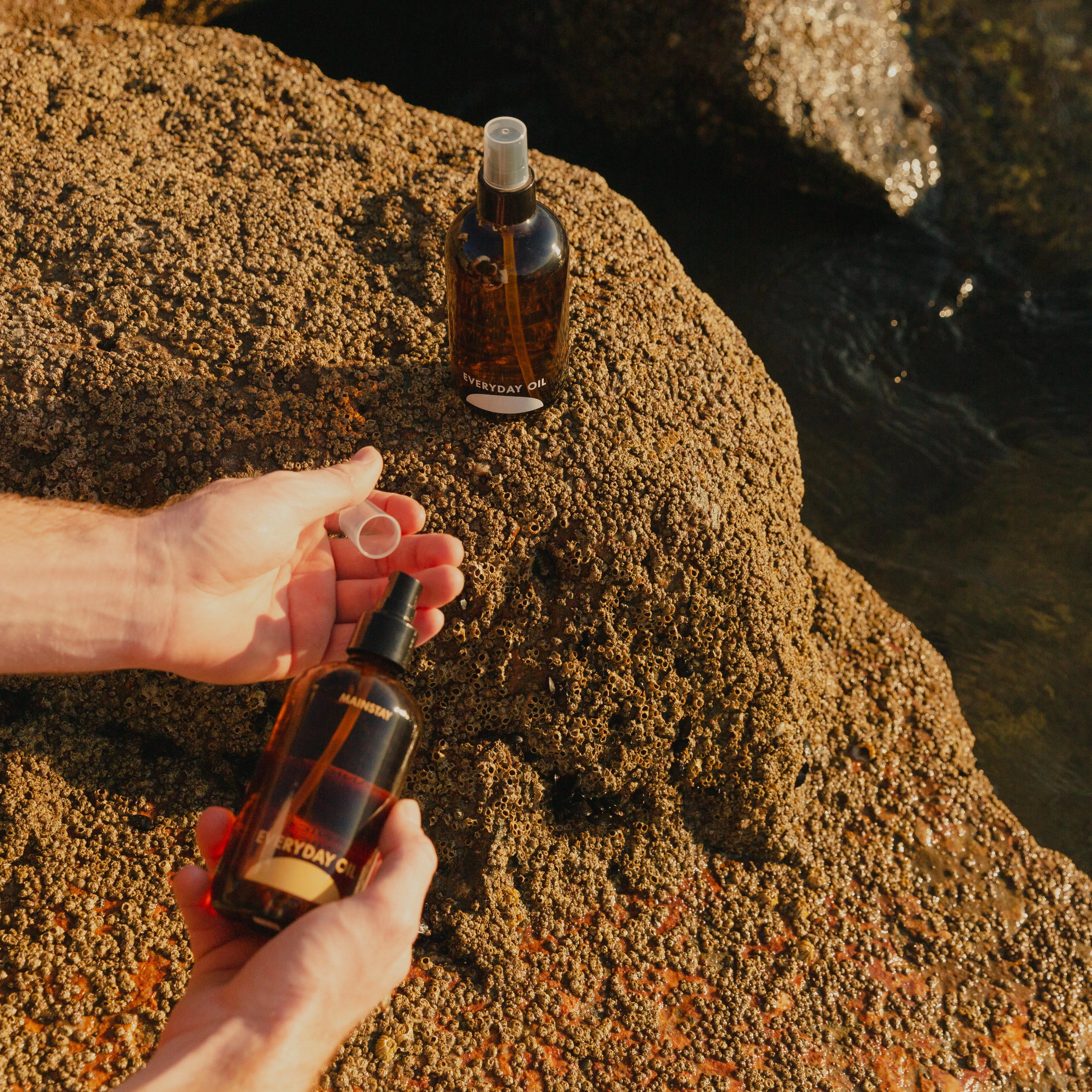 Everyday Oil - Mainstay Blend