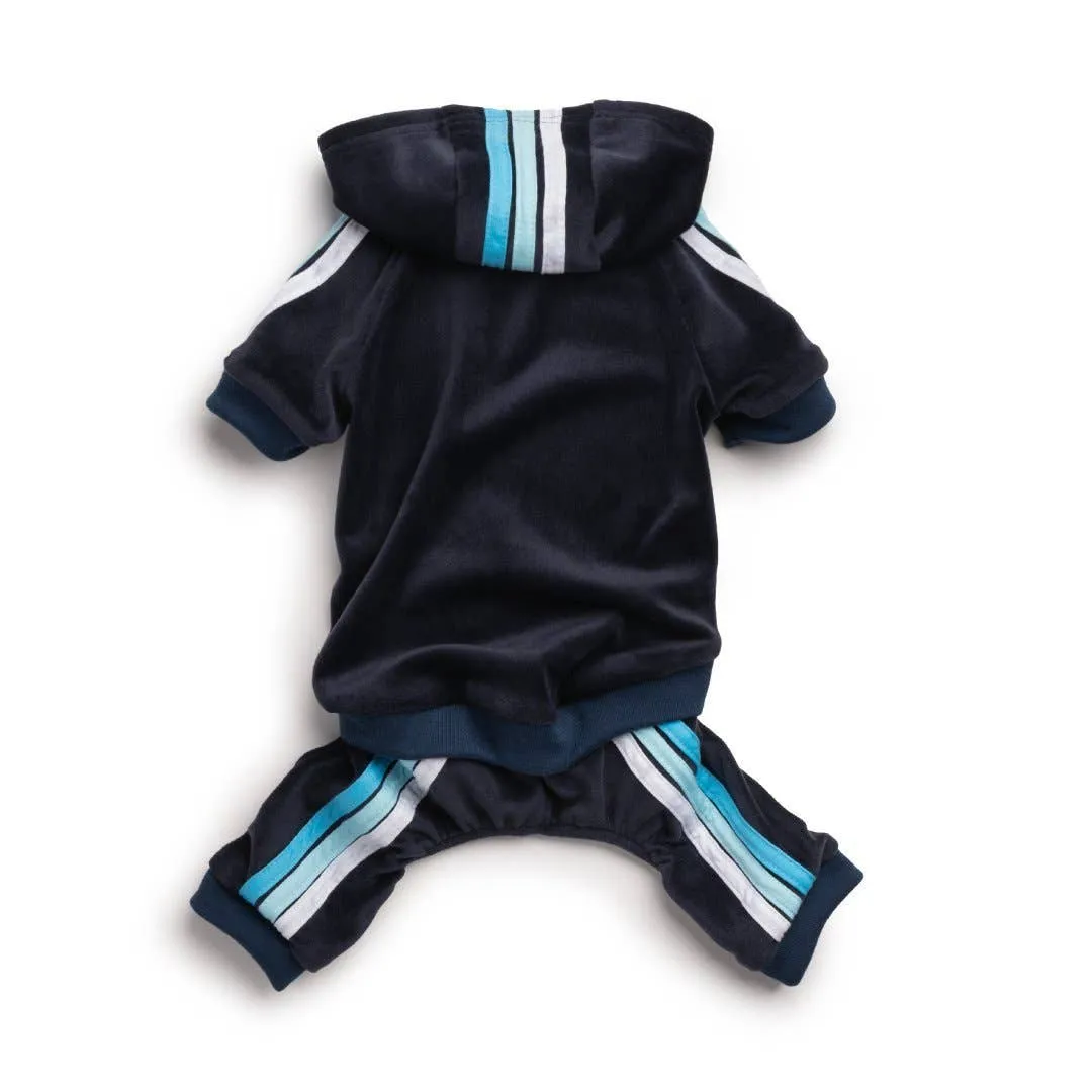 Fab Dog - Navy Velour Jogger