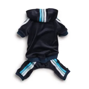 Fab Dog - Navy Velour Jogger