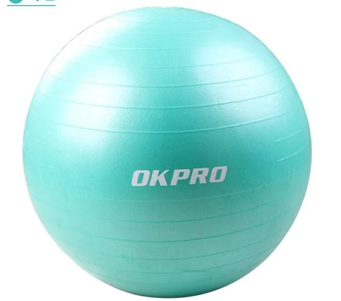 Fitness Hero Anti Burst Aerobic Gym Ball