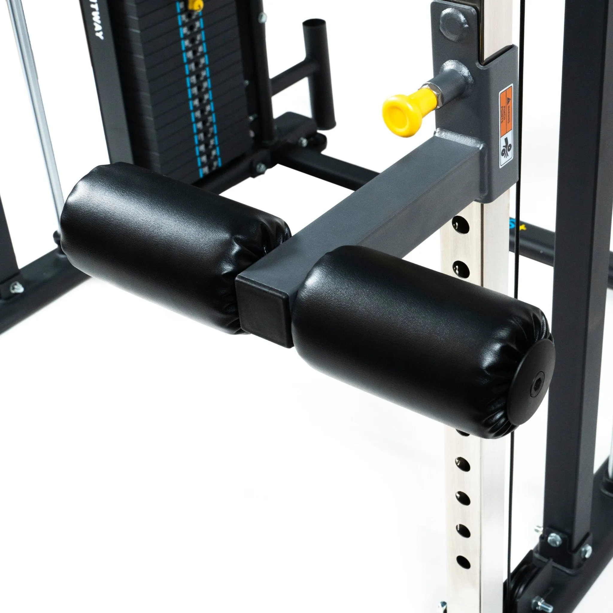 Forza FTS Plus Functional System