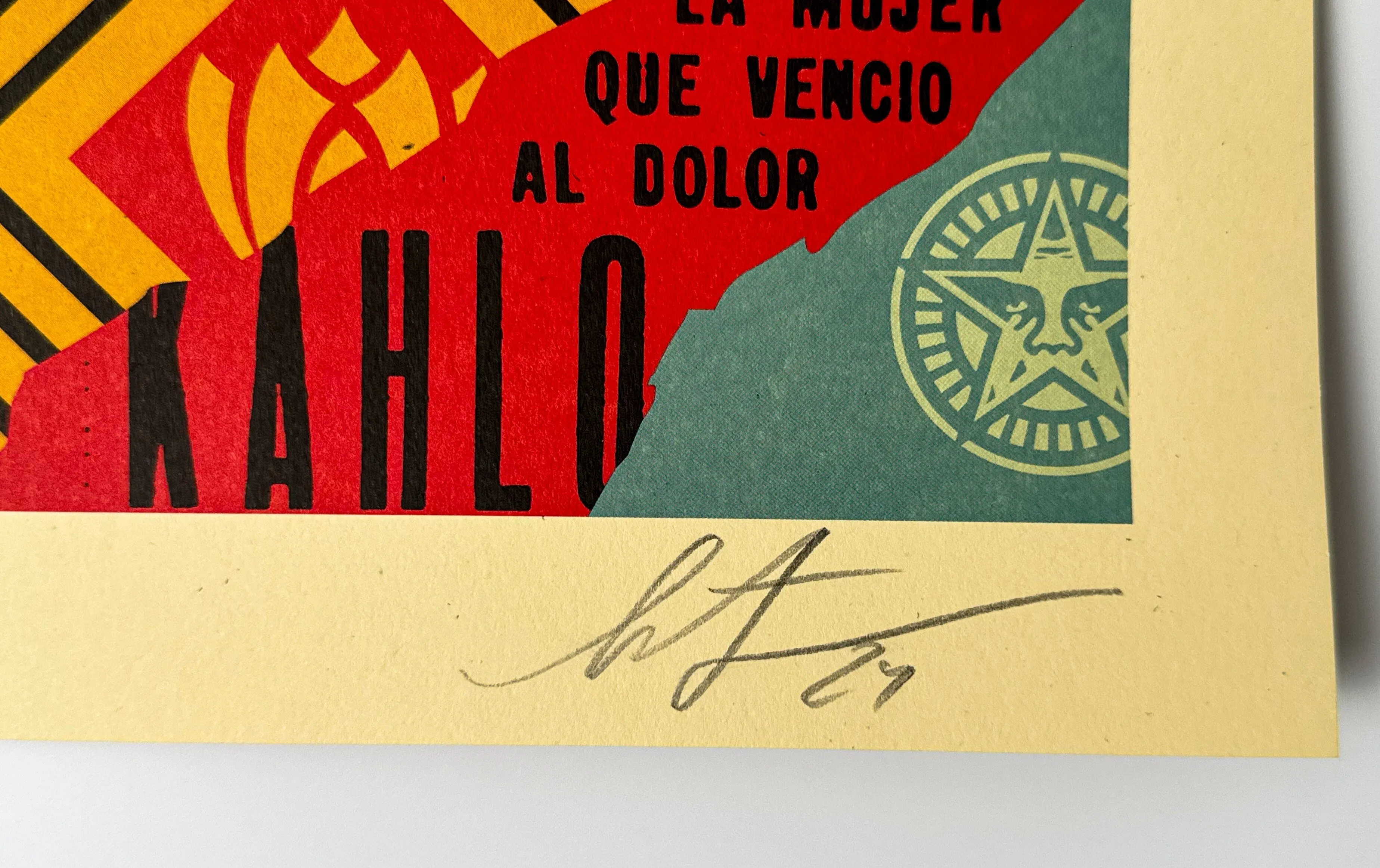 Frida Kahlo: The Woman Who Defeated Pain