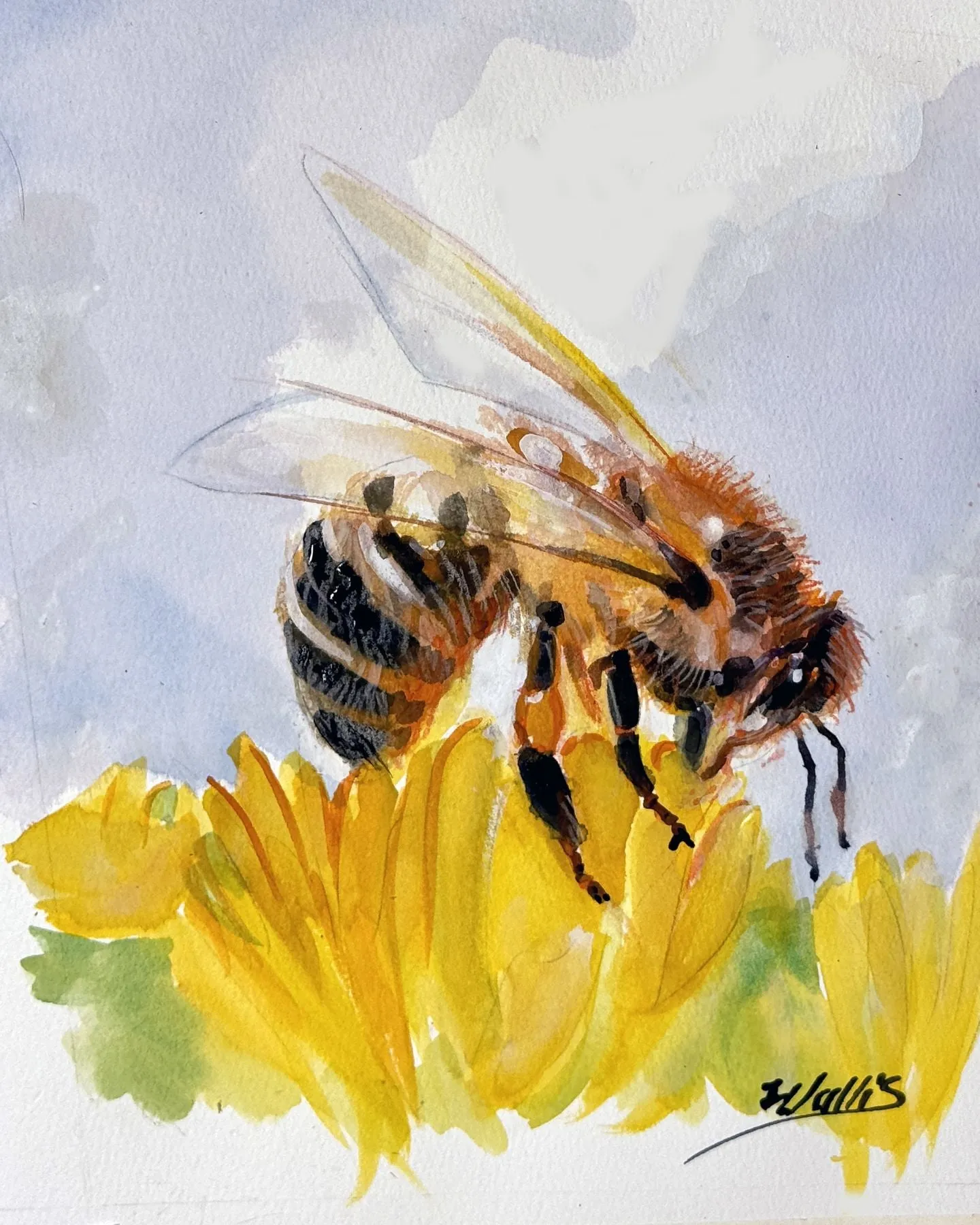 Honeybee, All in a Day's Work