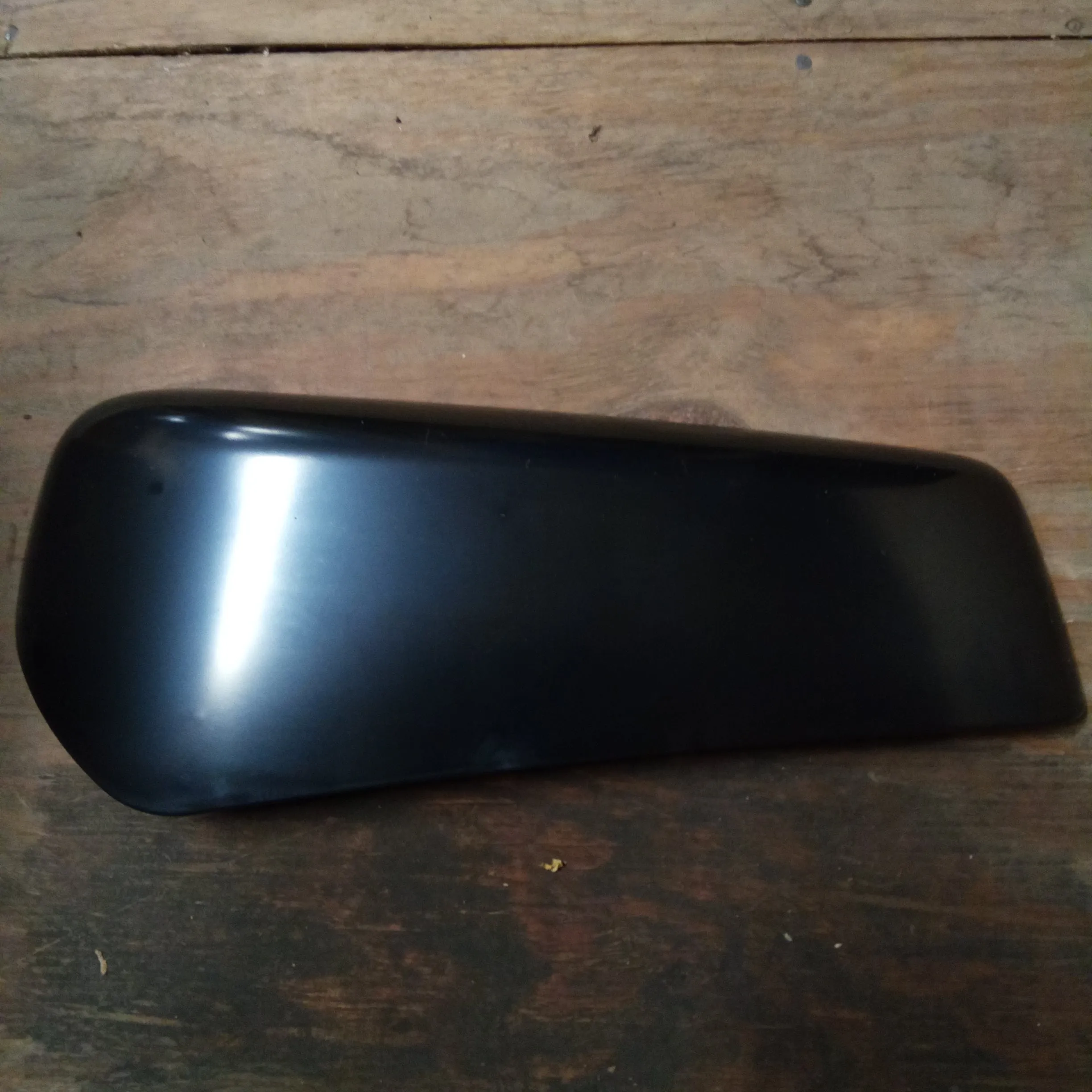 LH bags insert unpainted (#03484570)