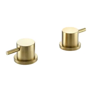 Luxurious Gold Deck Panel Valves Pair in Brushed Brass Finish