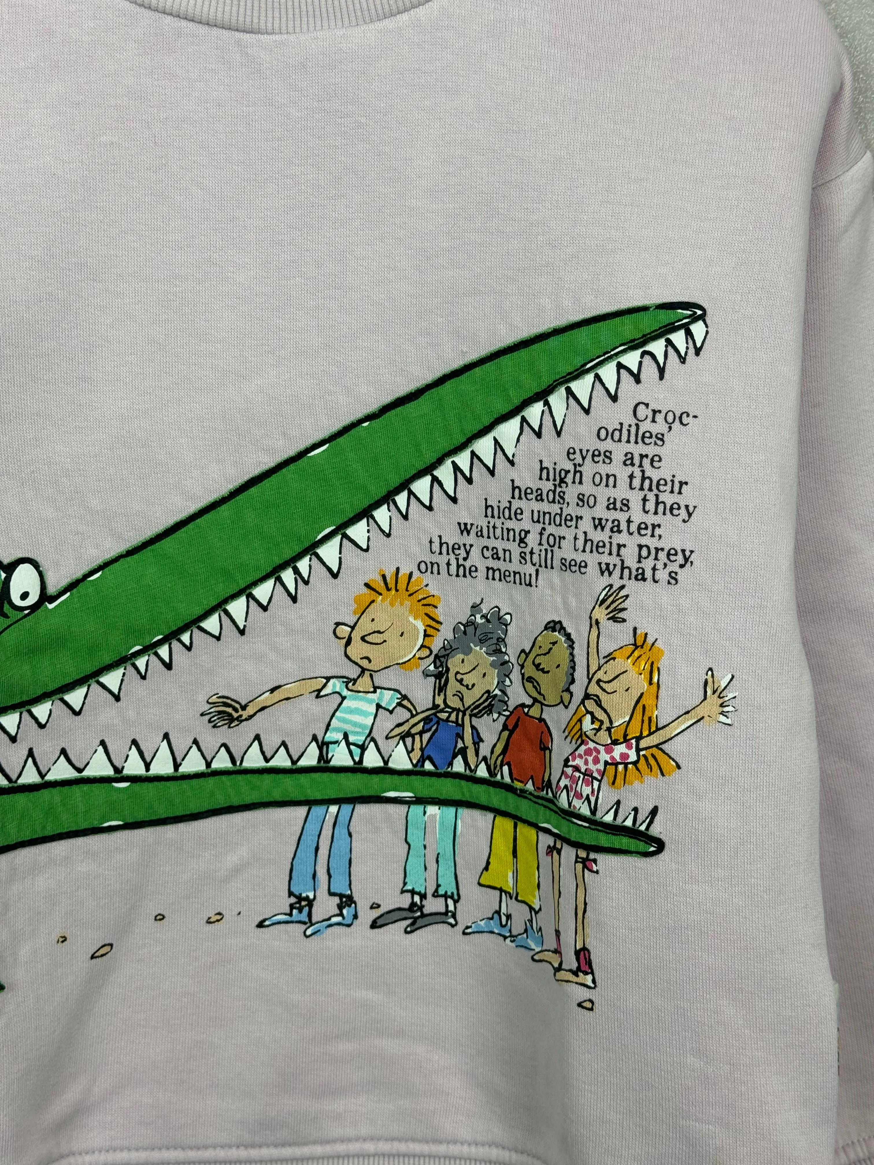 M&S Roald Dahl Crocodile Sweatshirt 5-6y