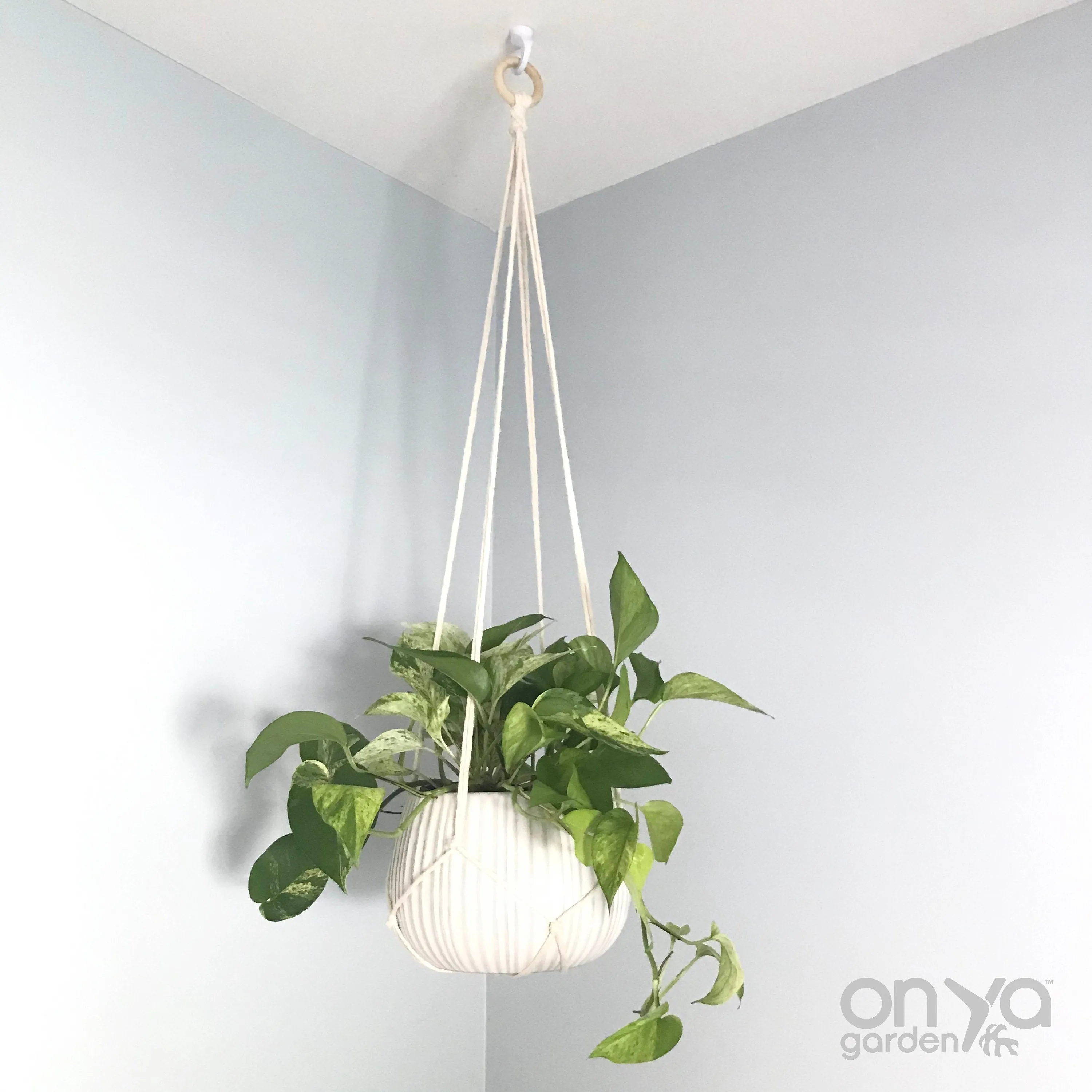 Modern Macrame No-Tail Plant Hanger, Boho Plant Holder, 3 Lengths