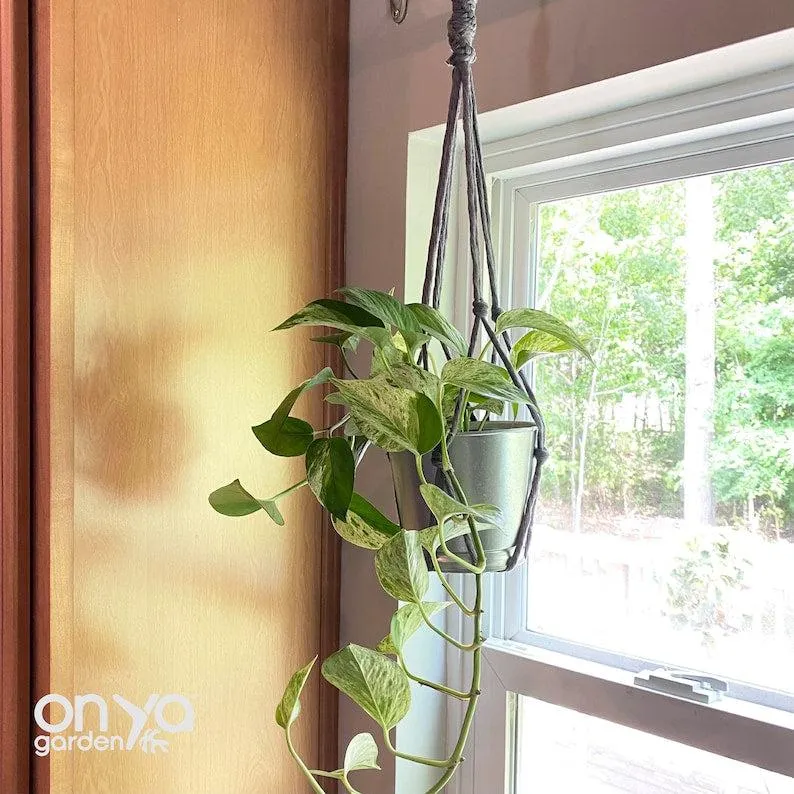Modern Macrame No-Tail Plant Hanger, Boho Plant Holder, 3 Lengths