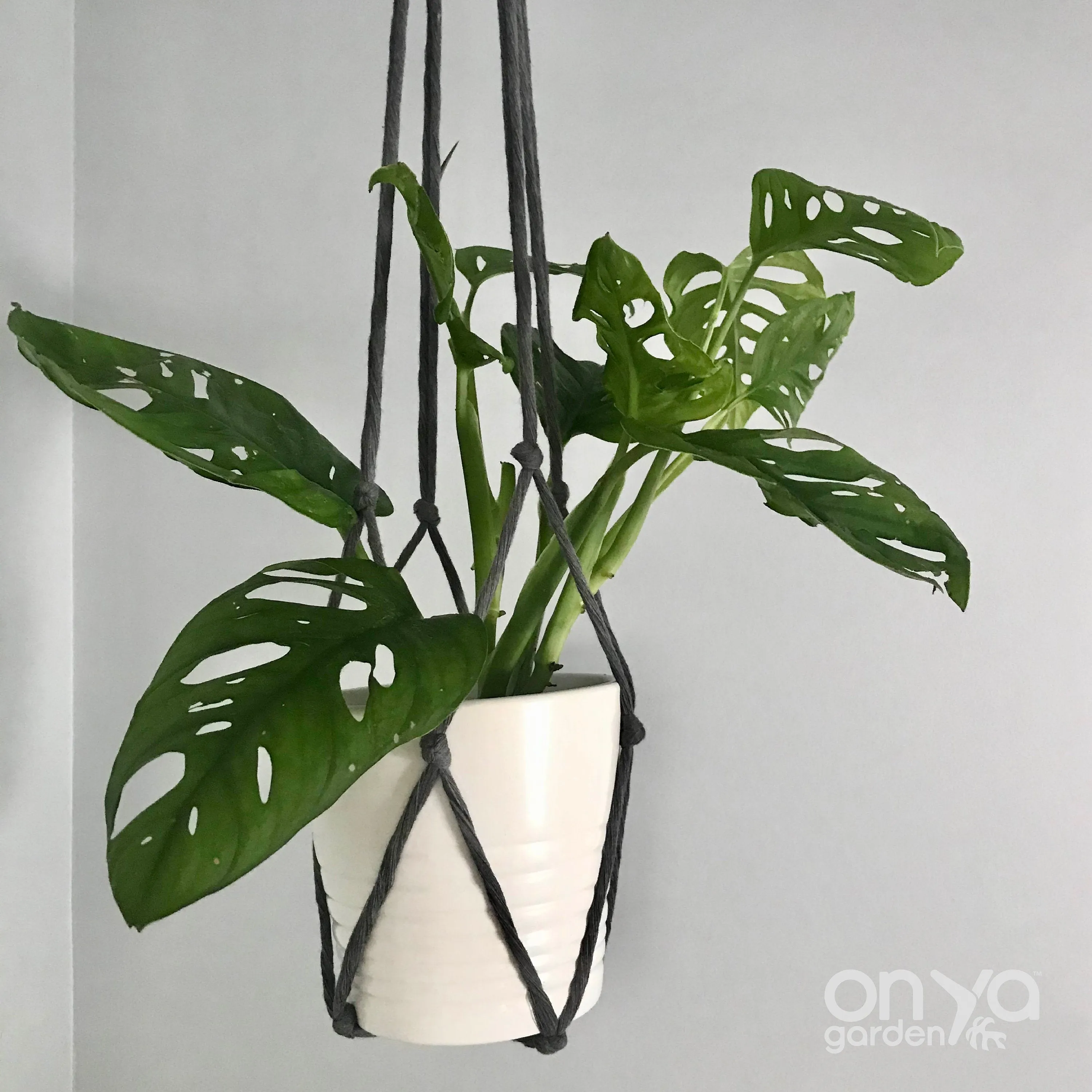 Modern No-Tail Macrame Plant Hanger - Medium 33" Length