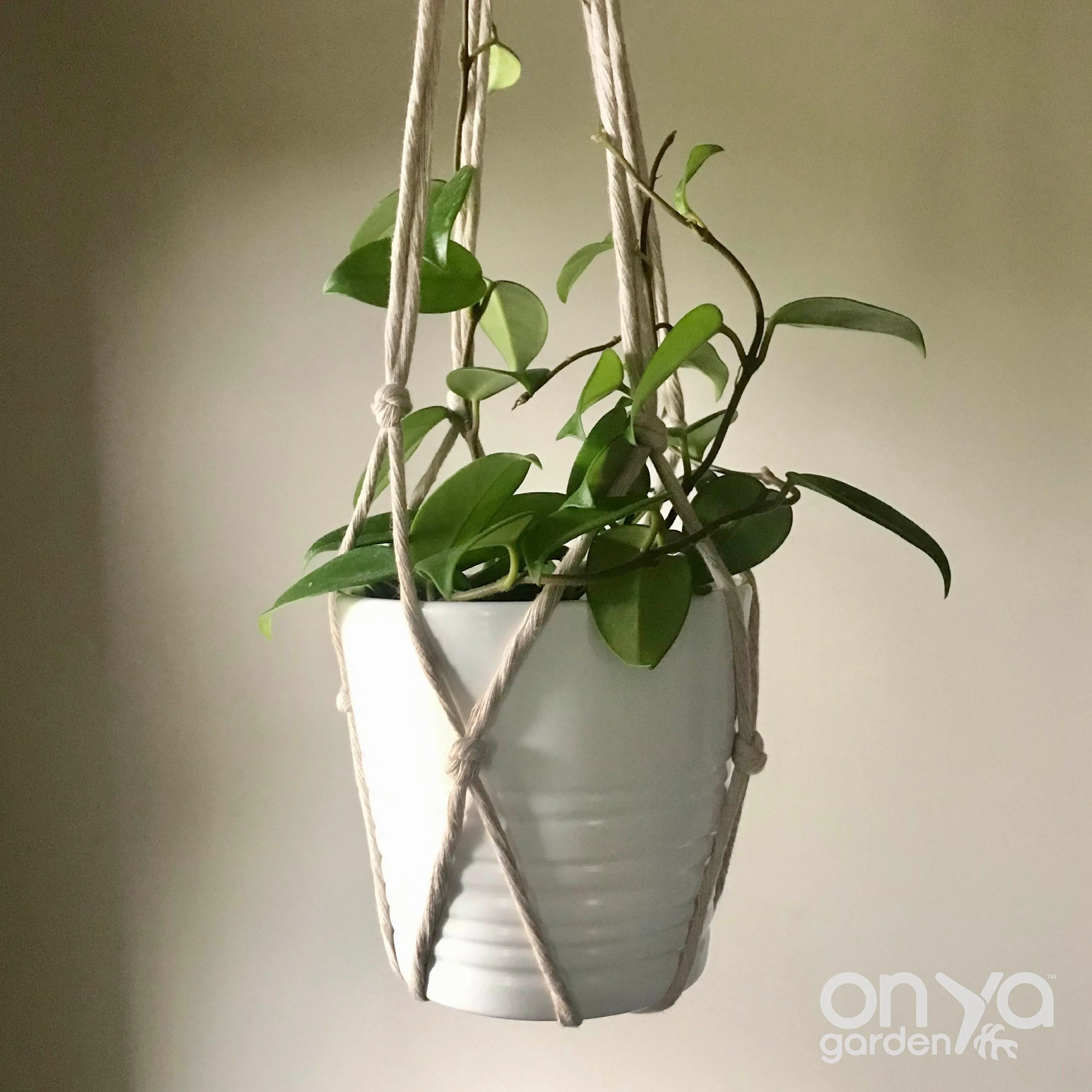 Modern No-Tail Macrame Plant Hanger - Medium 33" Length