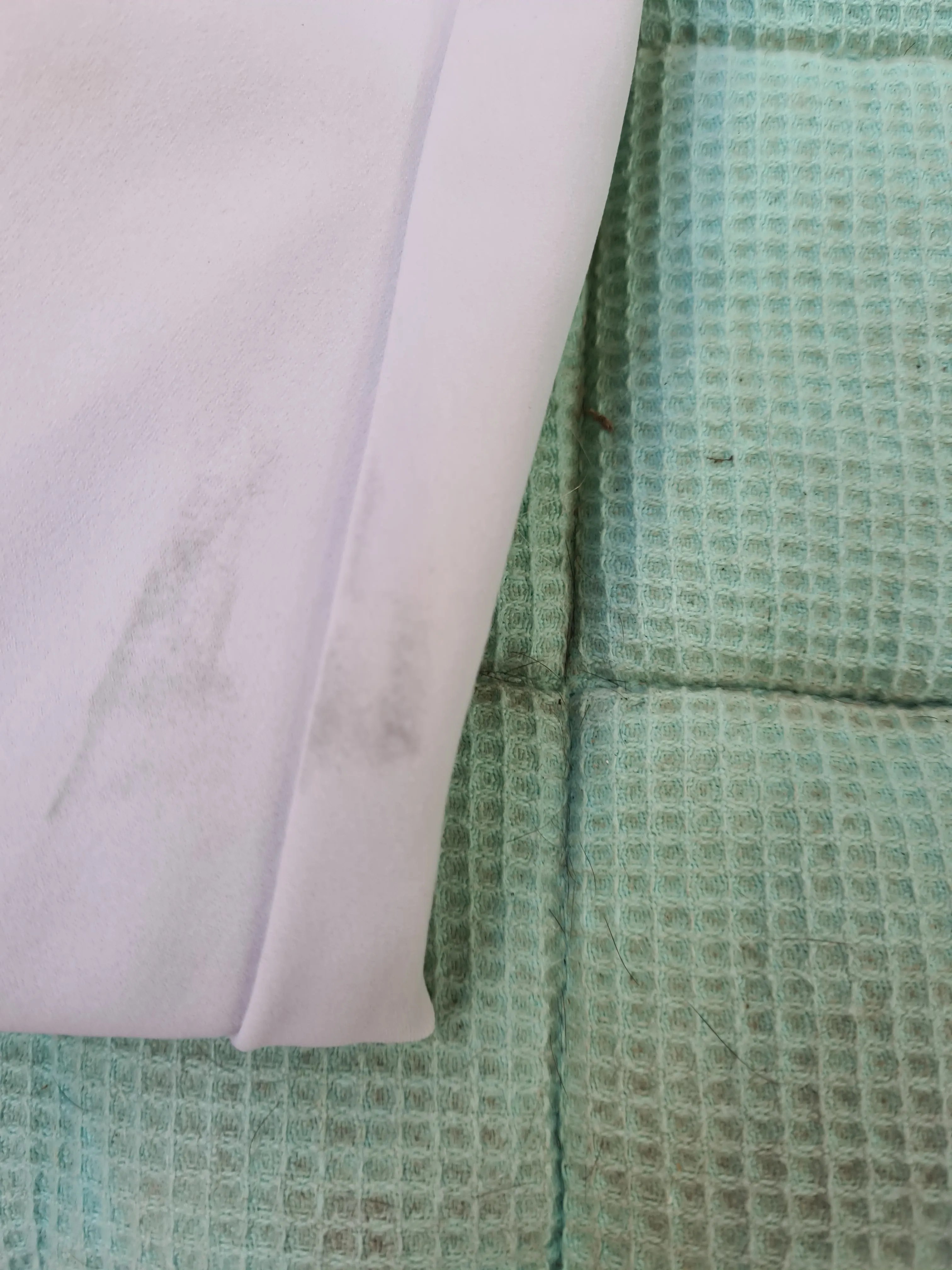 New Horse Pilot cream competition Jodhpurs FREE POSTAGE☆