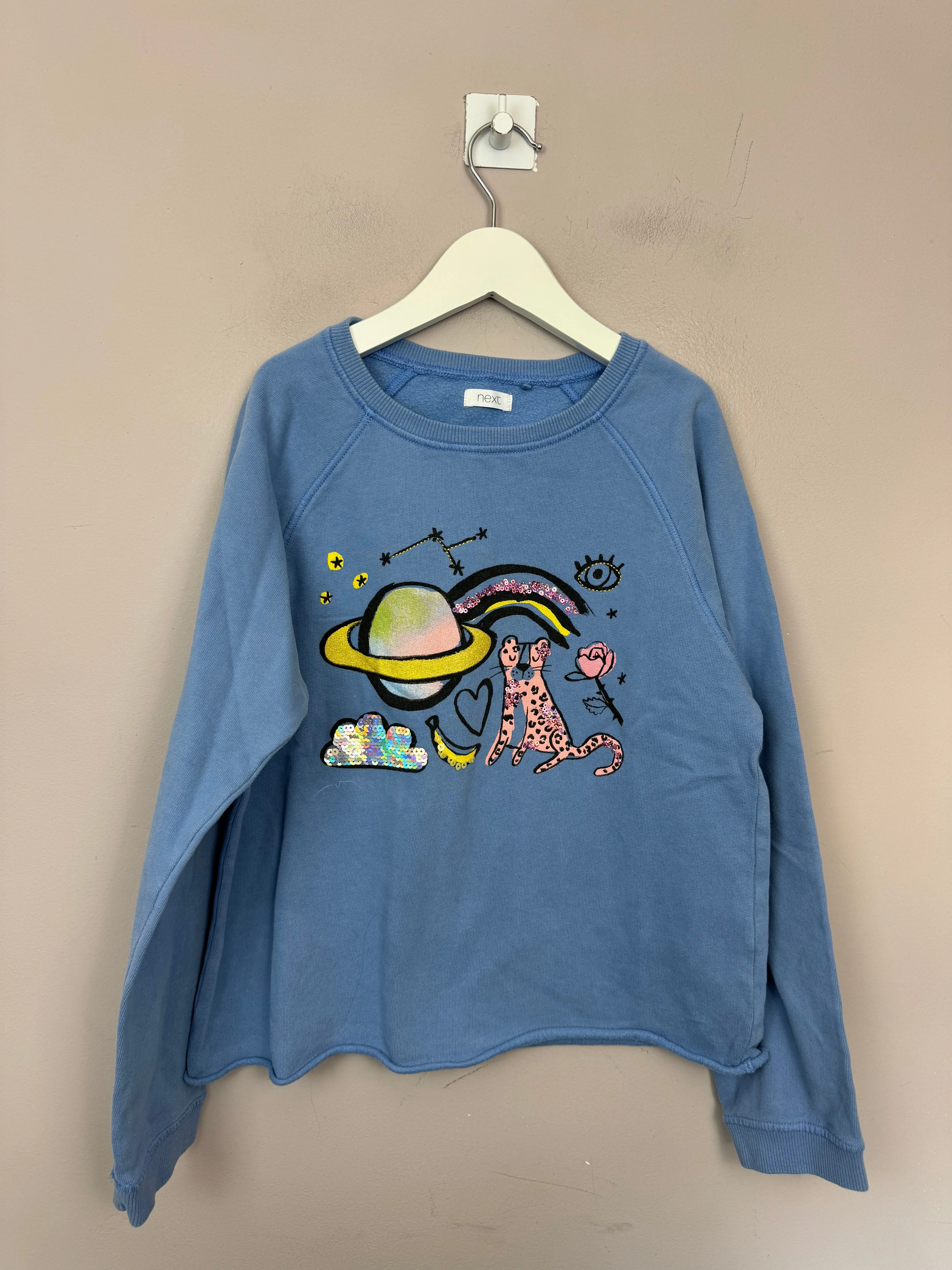 Next Blue Planet Sweatshirt 12y