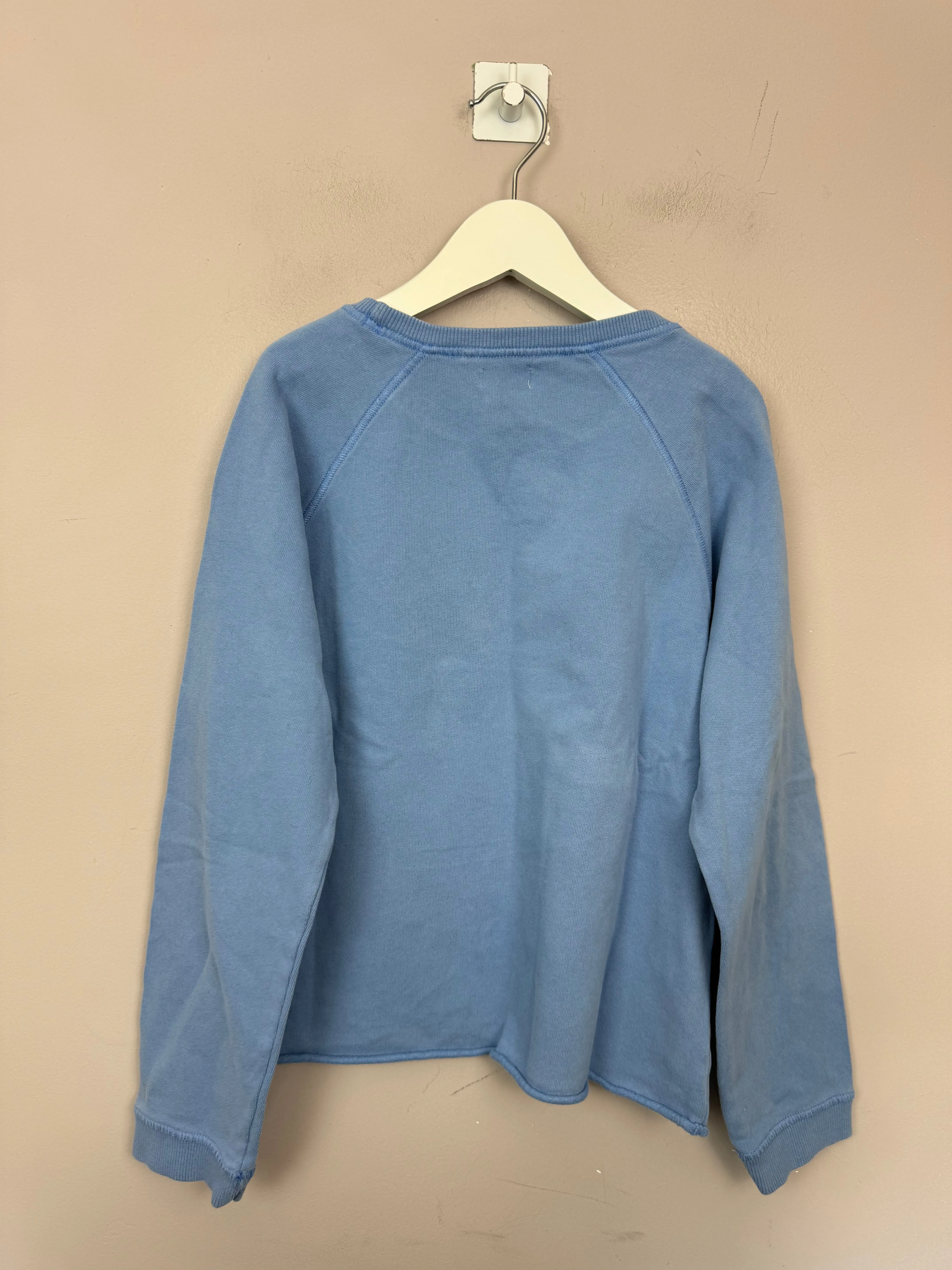 Next Blue Planet Sweatshirt 12y