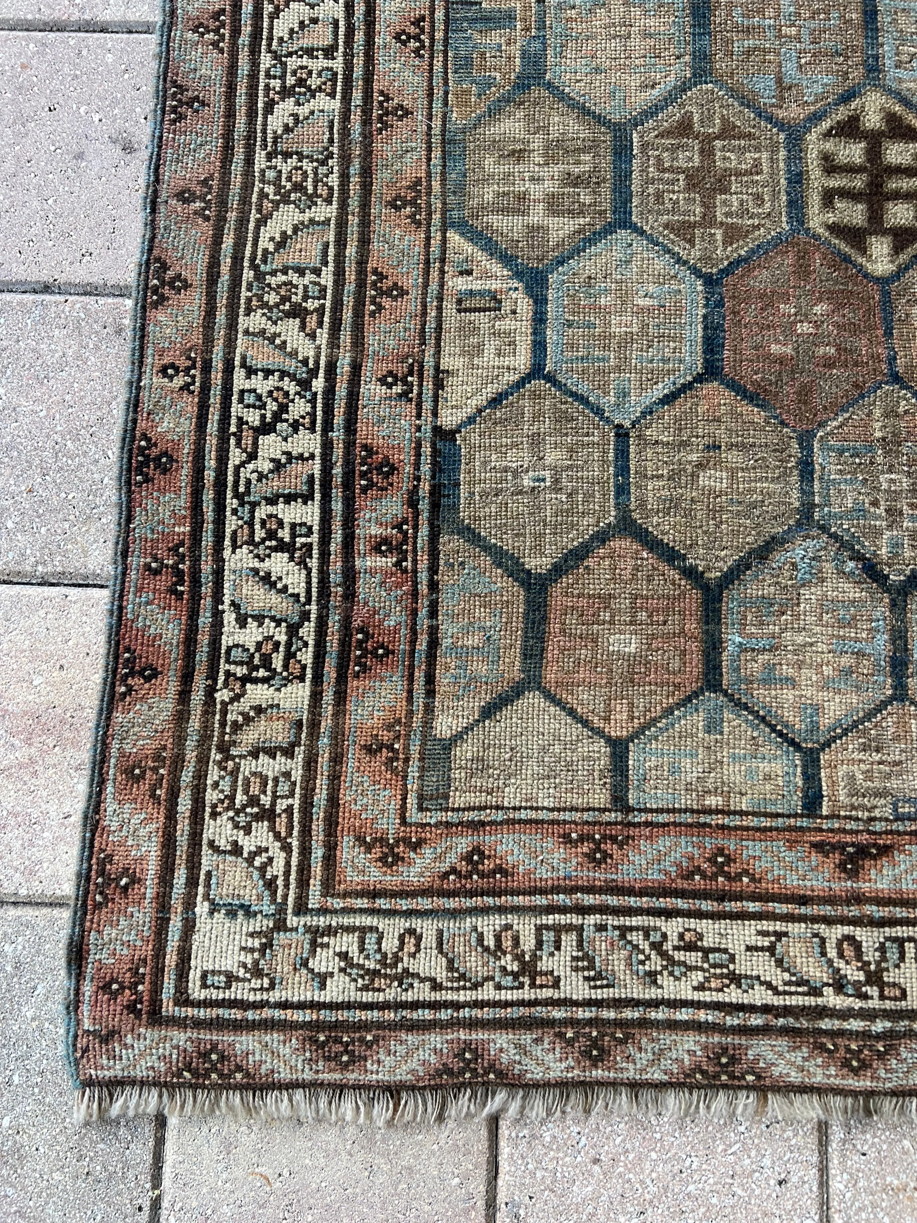 Ocala / 3x6