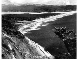 Oregon Coast Highway  3510