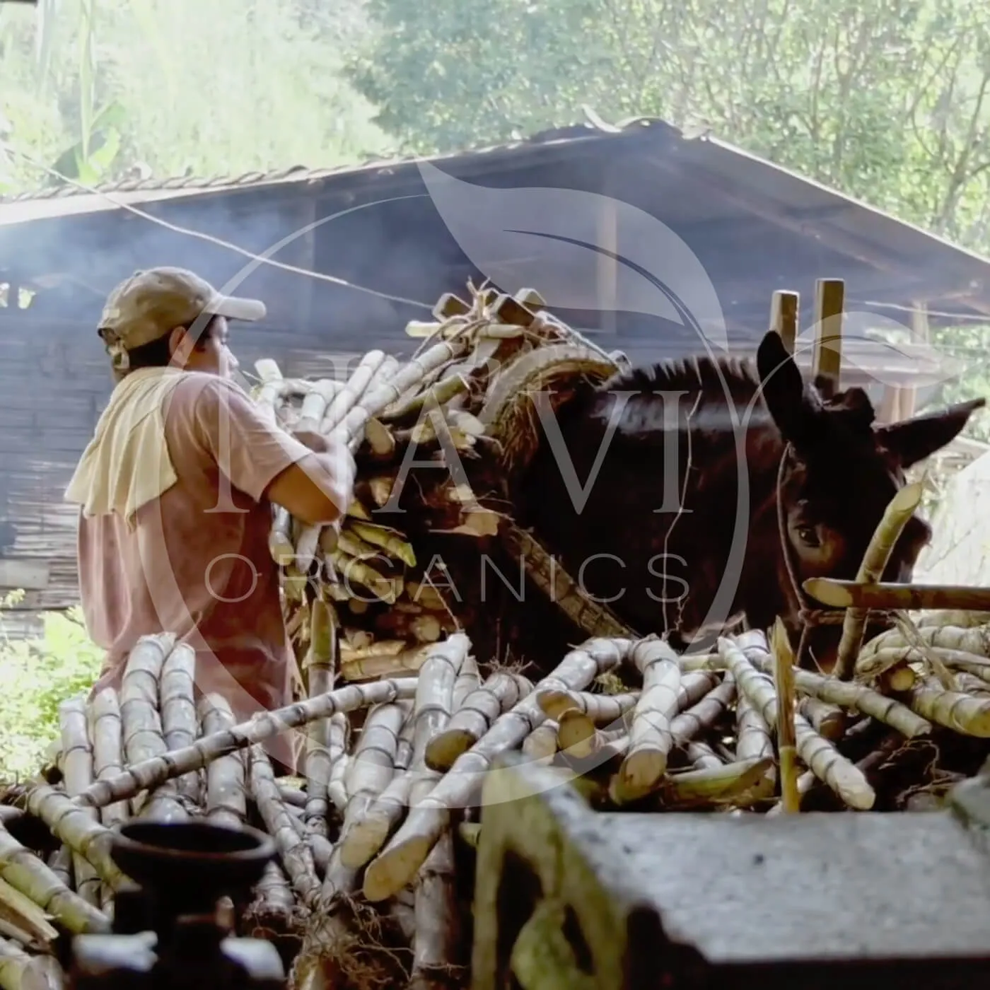 Organic Panela Rapadura - Natural Unrefined Sugar