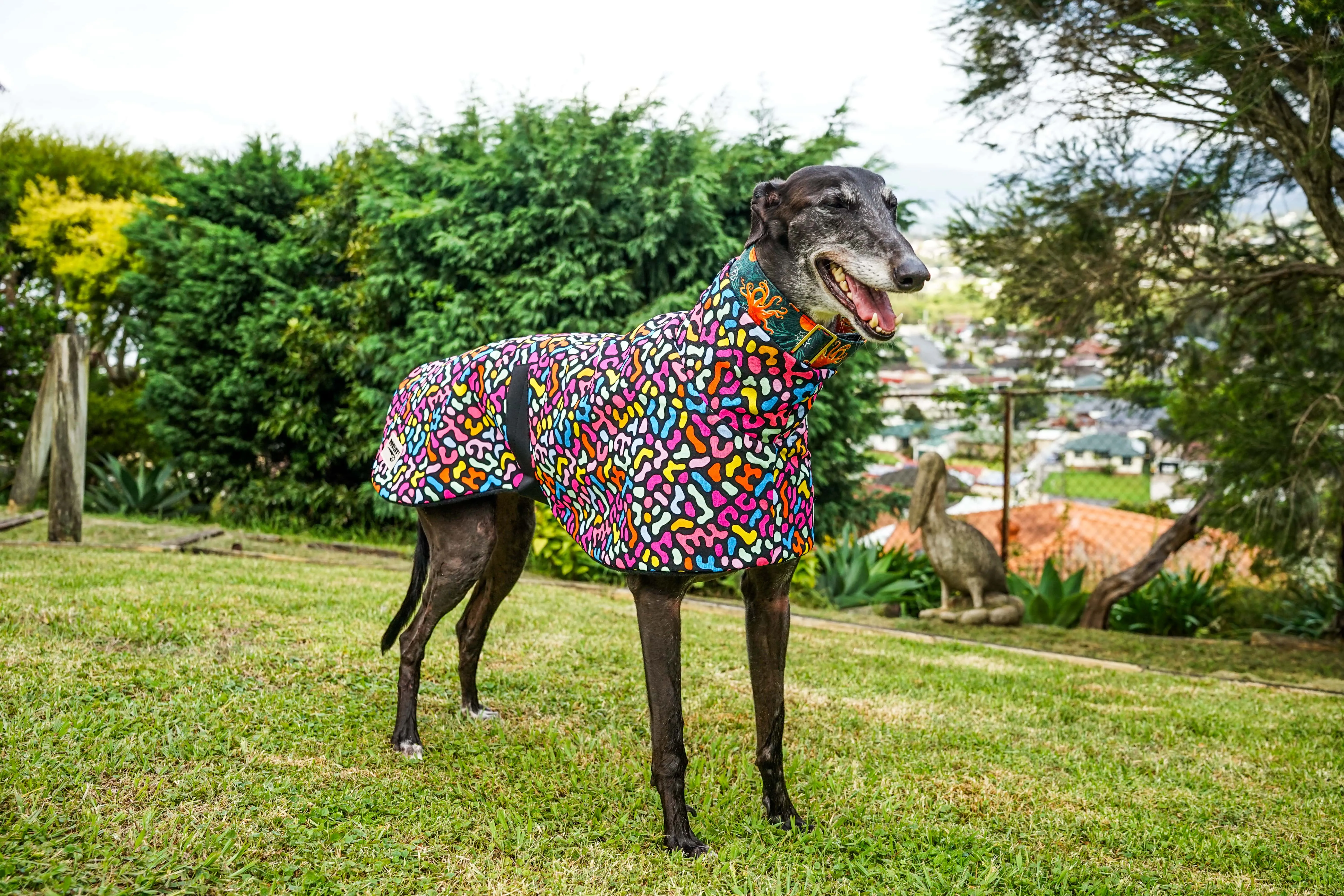 Our jellybean cotton sports coat