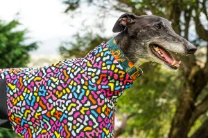 Our jellybean cotton sports coat