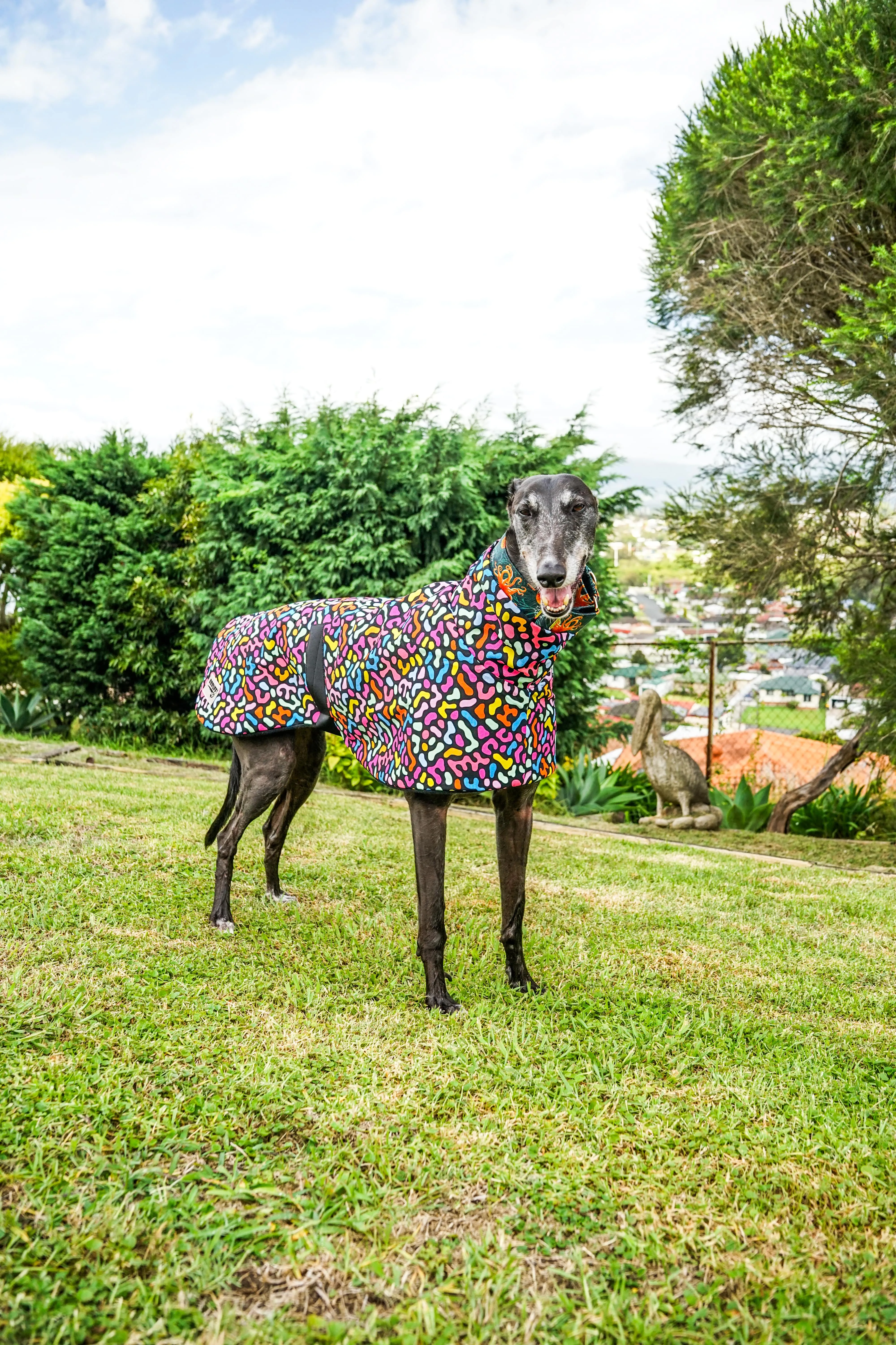 Our jellybean cotton sports coat