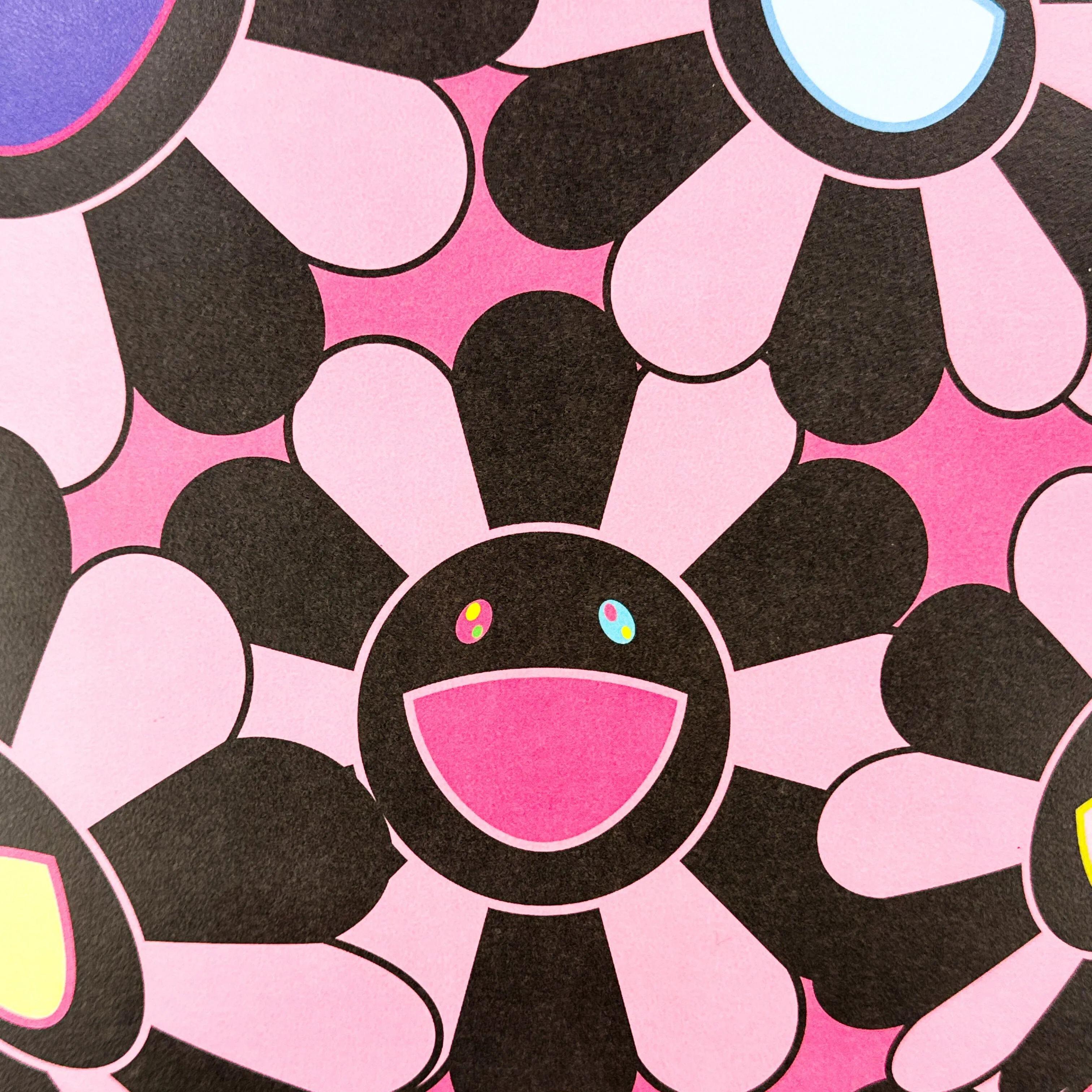 Pandakashi (Pink)