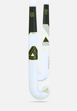 Paradox Pro 2