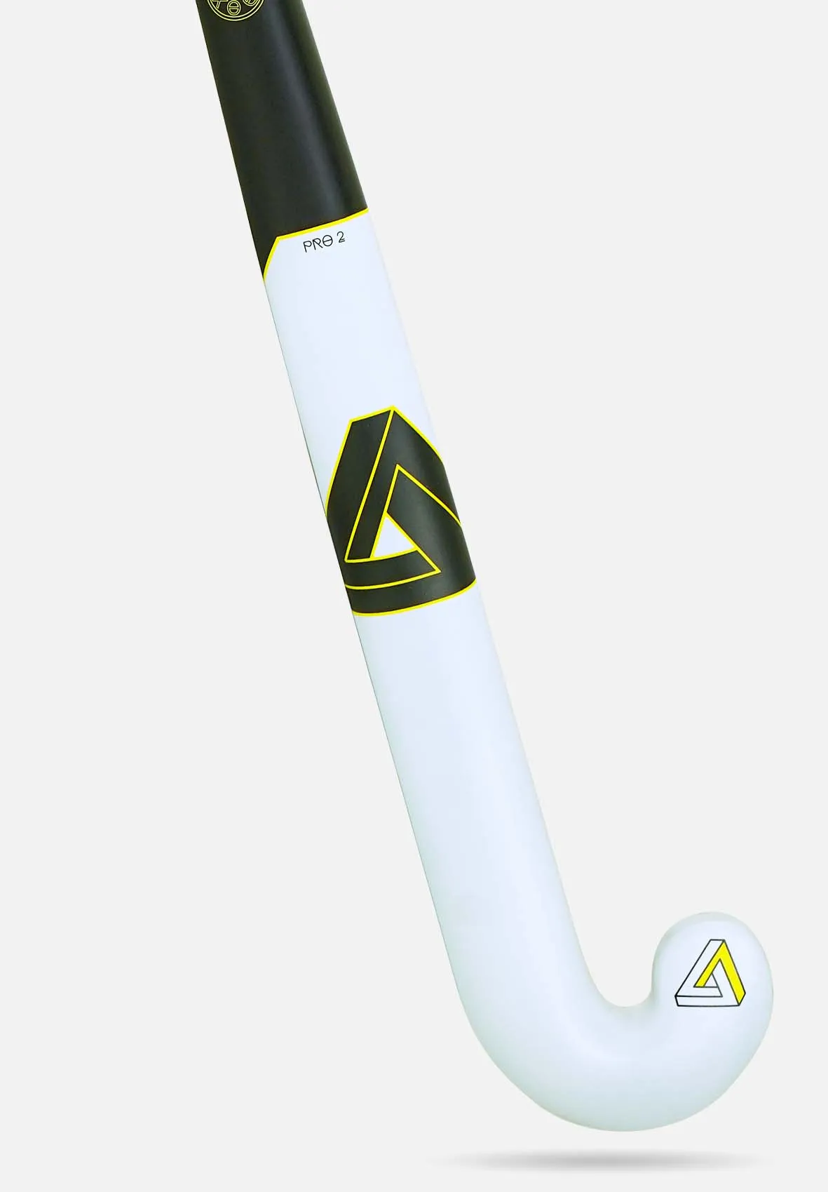Paradox Pro 2