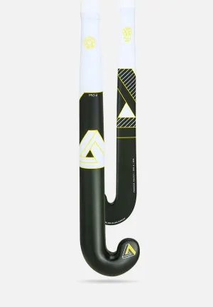 Paradox Pro 4