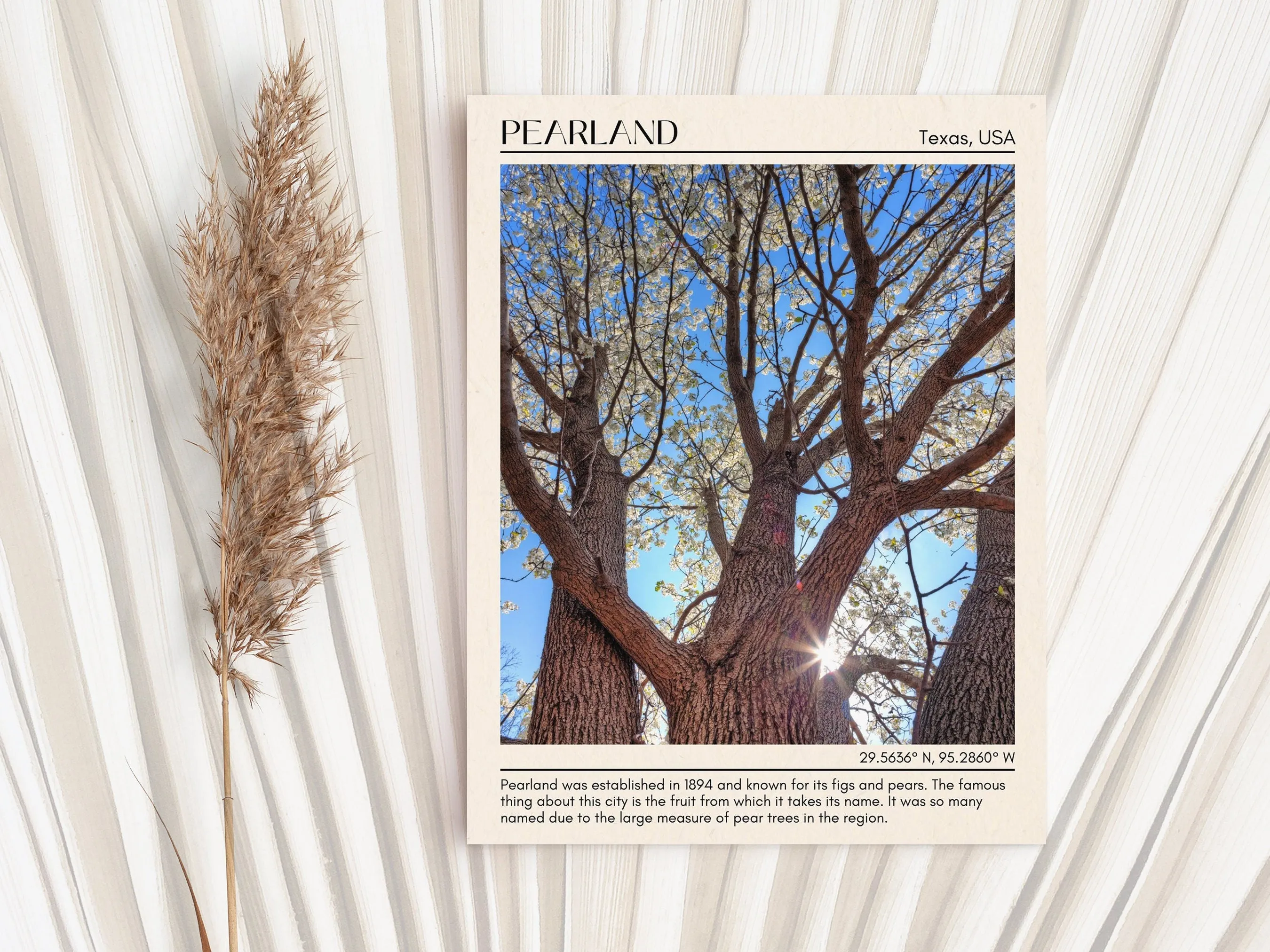 Pearland Minimal Wall Art, Texas, USA