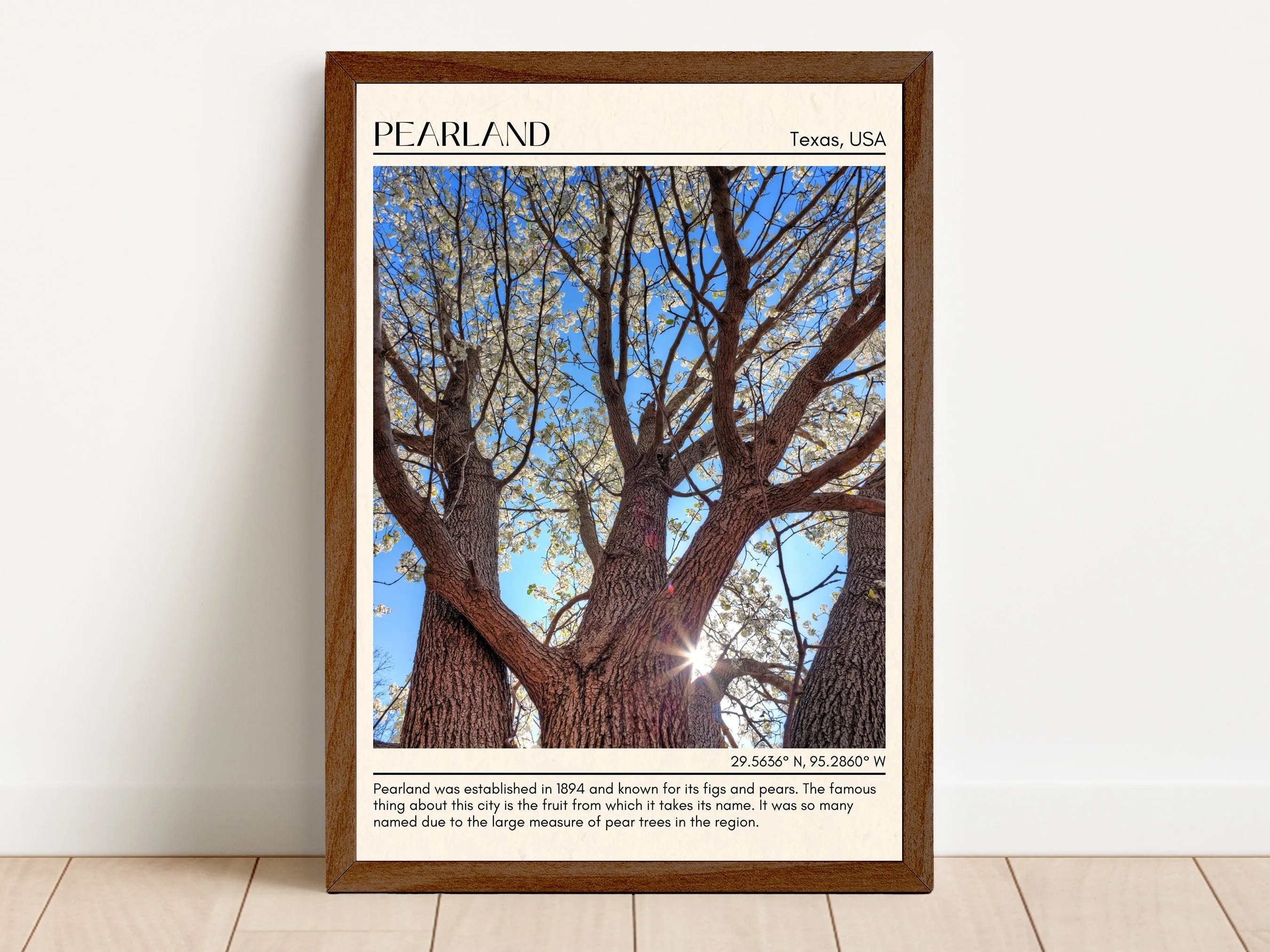 Pearland Minimal Wall Art, Texas, USA