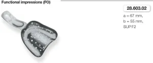 Perforated Anatomic Ehricke, Functional Impressions, Upper Jaw (28.603.02)