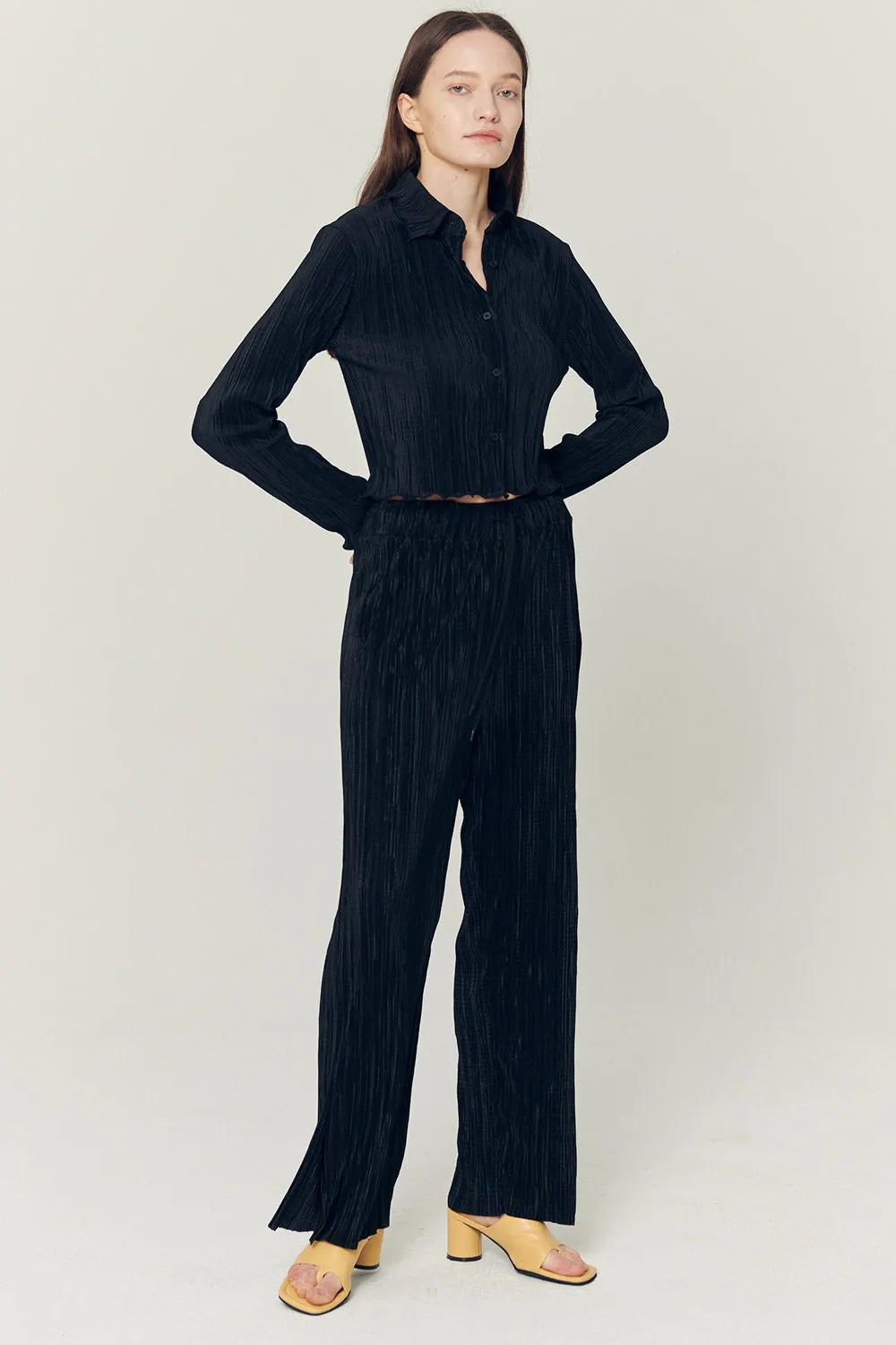 Peyton Crinkled Pleated Pants