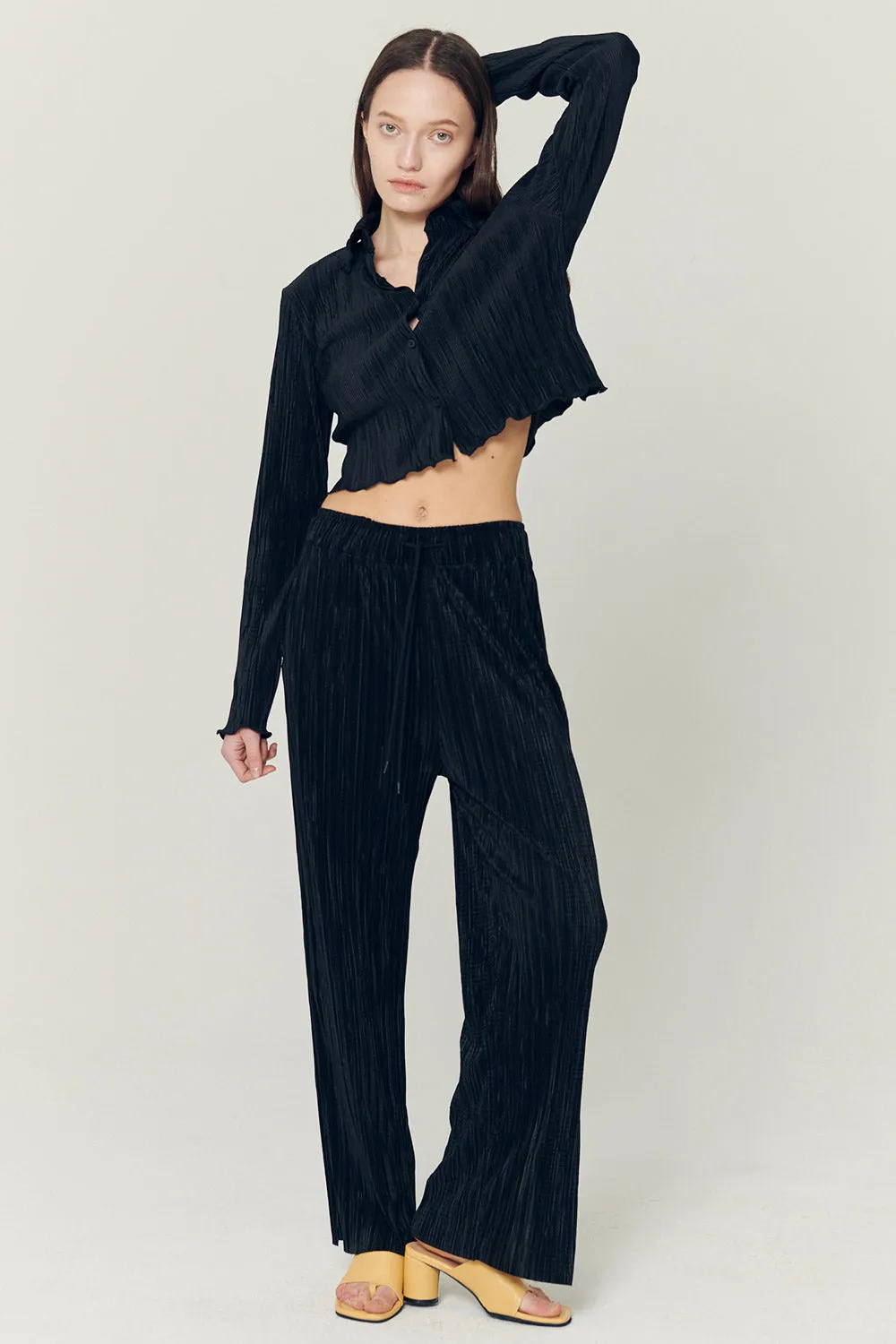 Peyton Crinkled Pleated Pants