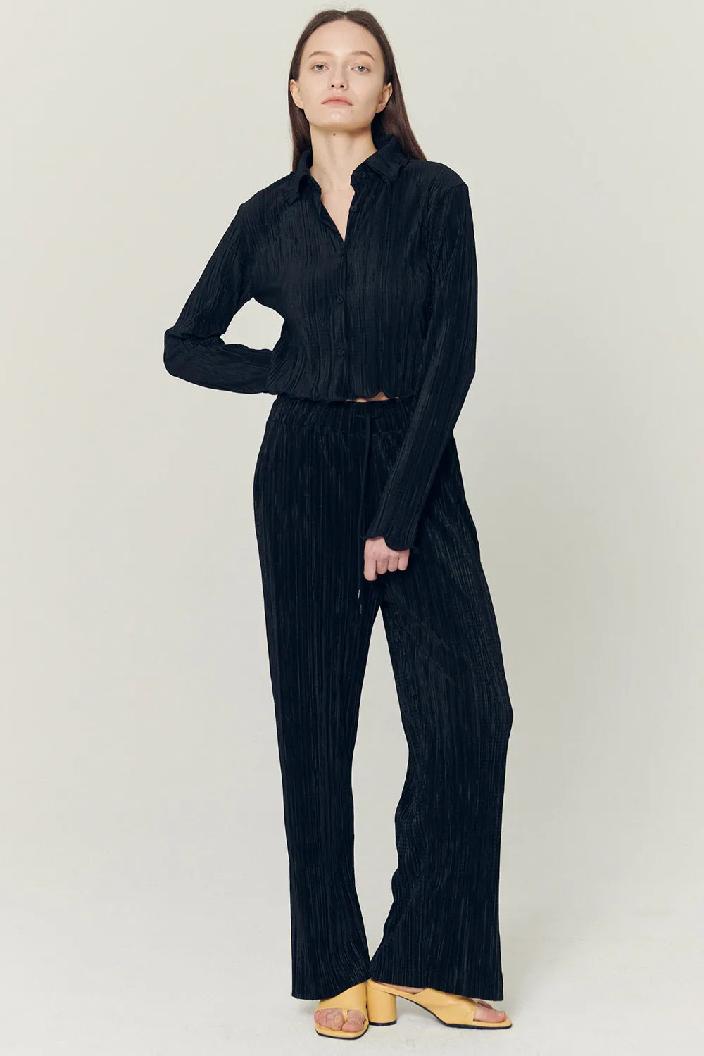 Peyton Crinkled Pleated Pants