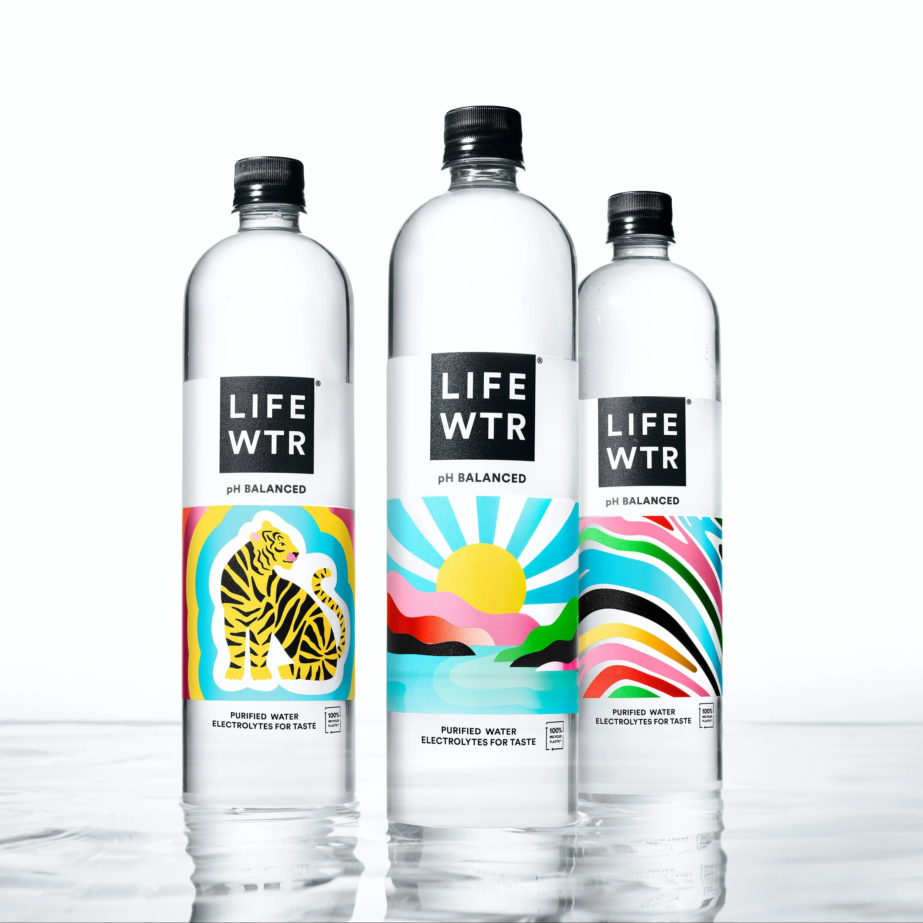 Premium Purified Water, pH Balanced with Electrolytes For Taste, 500 ml, 12 Pack